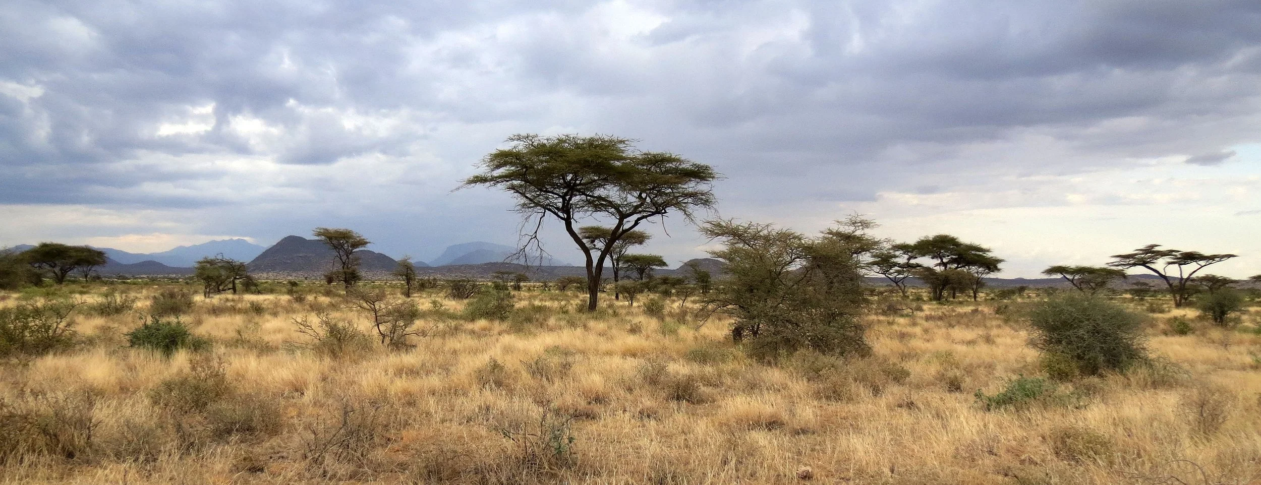 SAMBURU NATIONAL PARK KENYA (7).JPG