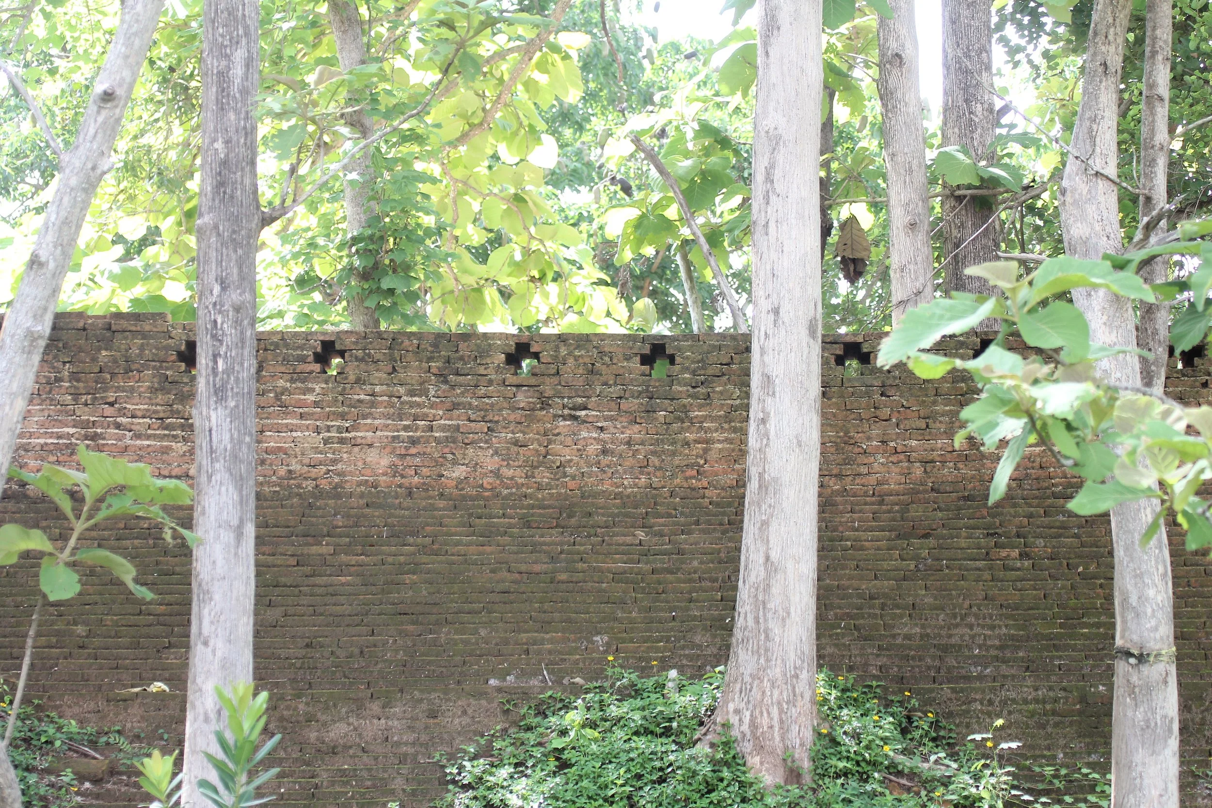 2020 3 July Chiang Saen Northern Thailand Road Trip  (28).JPG