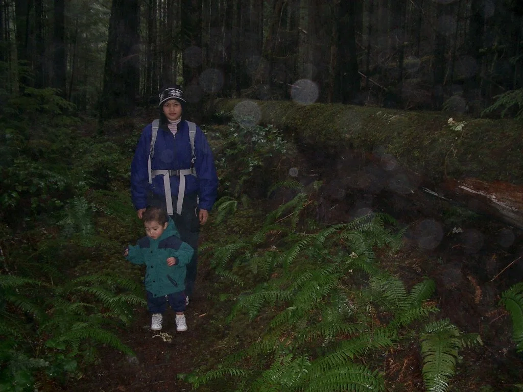 2004-1-19 WALK IN THE FOREST.JPG