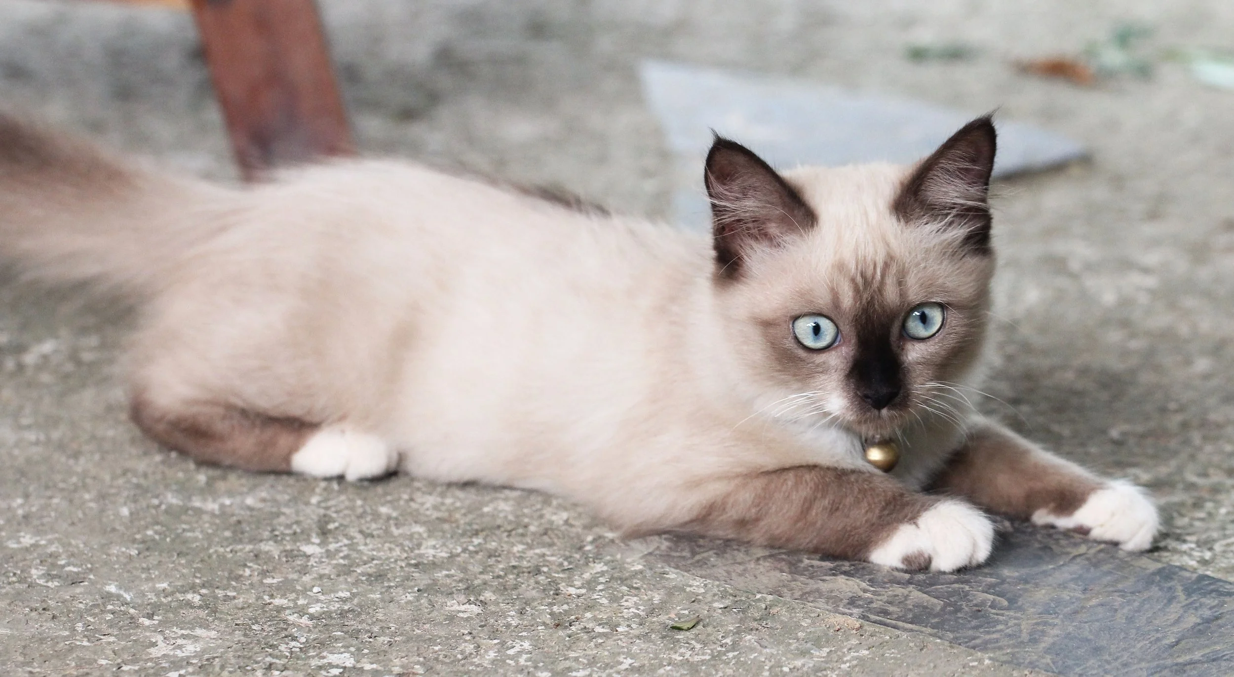 2015 Koh Lanta October Break Trip  (186).JPG