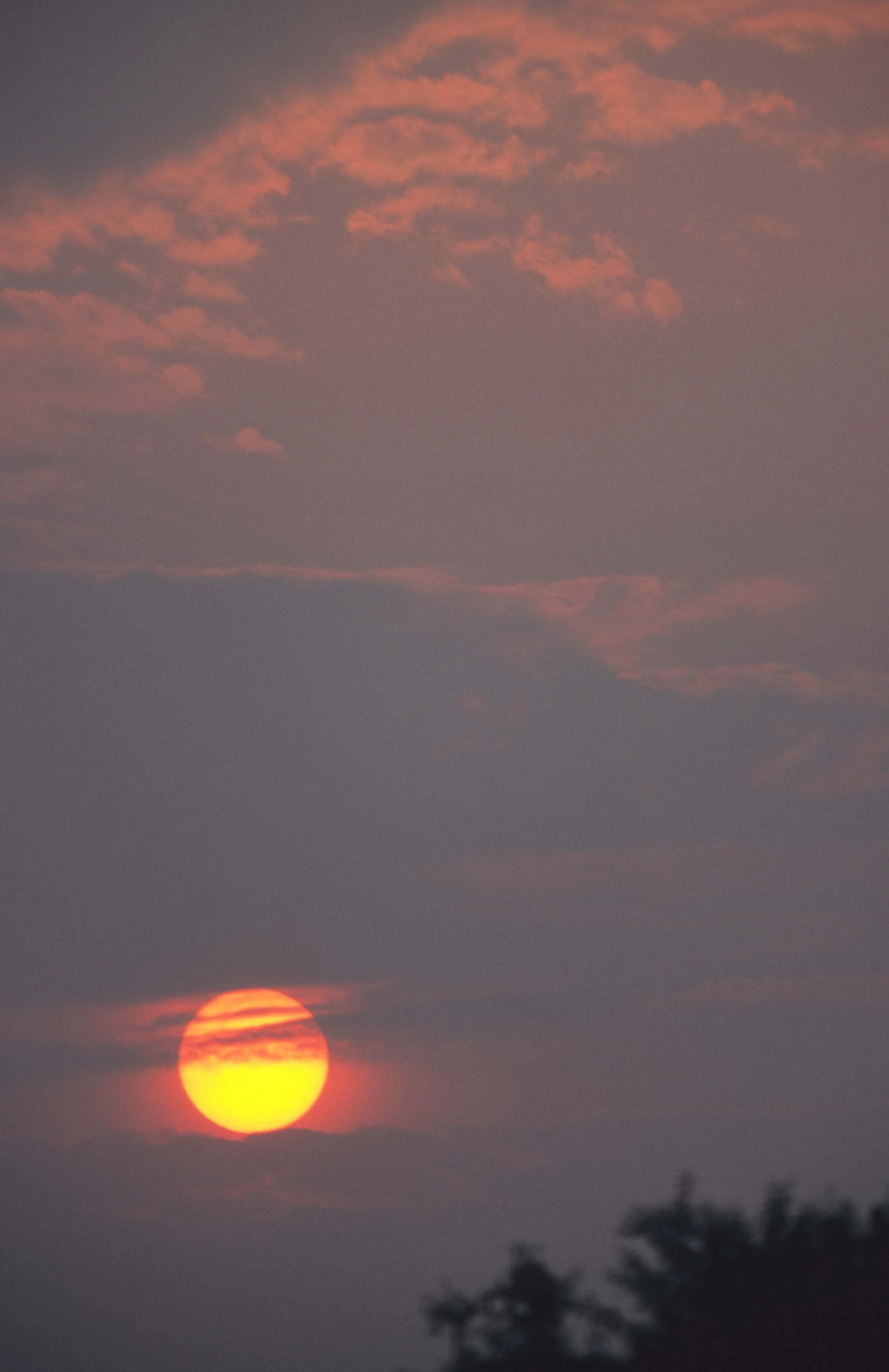 SERENGETI SUNSET 2.jpg