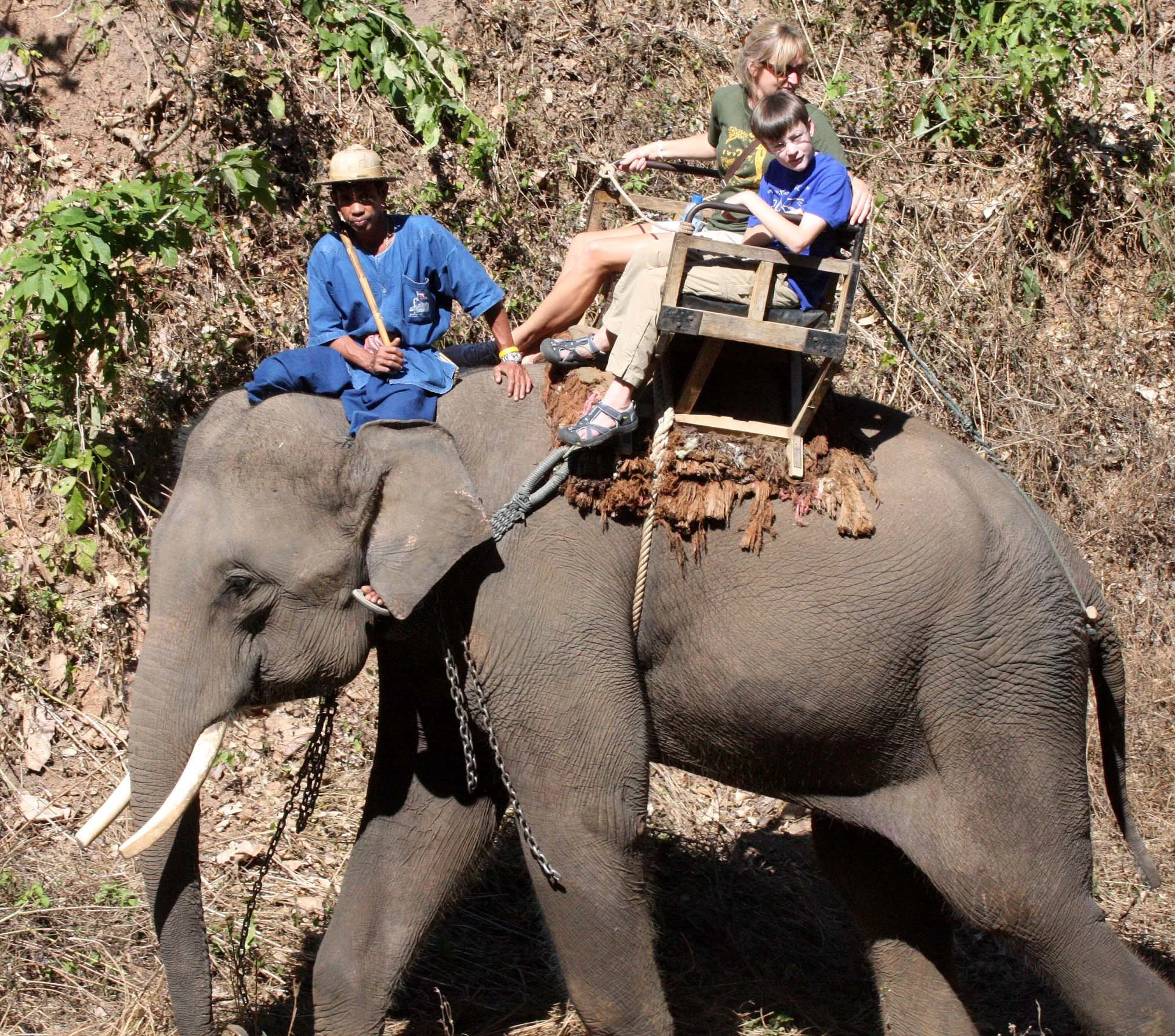 2008 Lampang City & Elephant Center (70).JPG