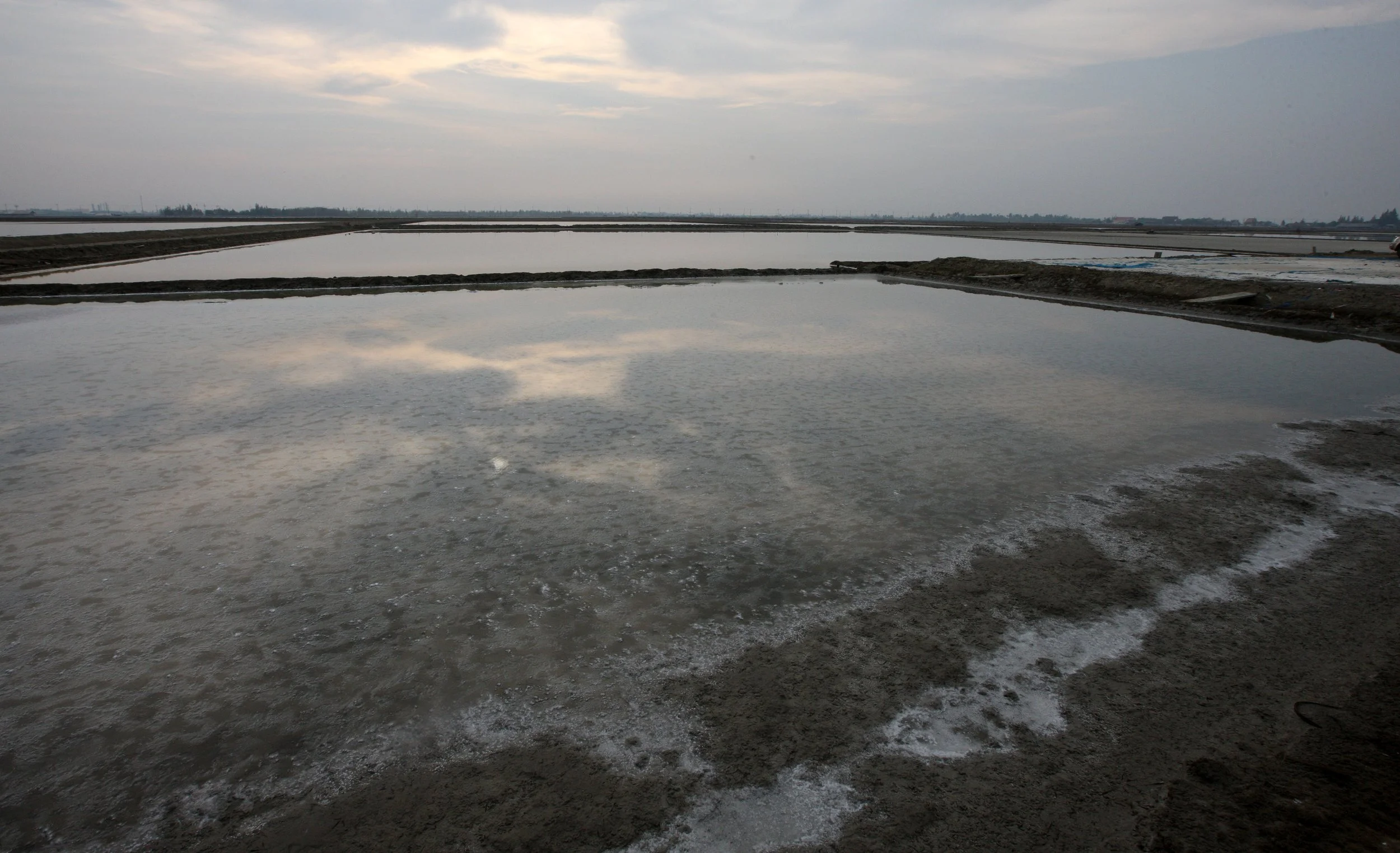 2011 Pak Thale Salt Ponds (11).JPG