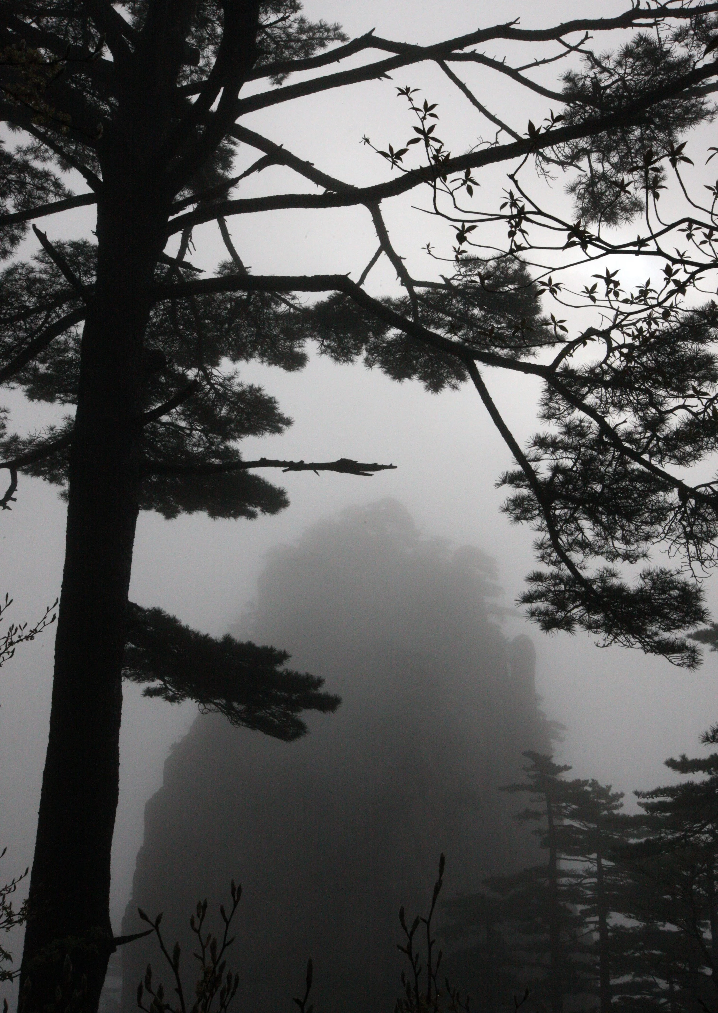 HUANGSHAN NATIONAL PARK ANHUI PROVINCE CHINA (193).JPG