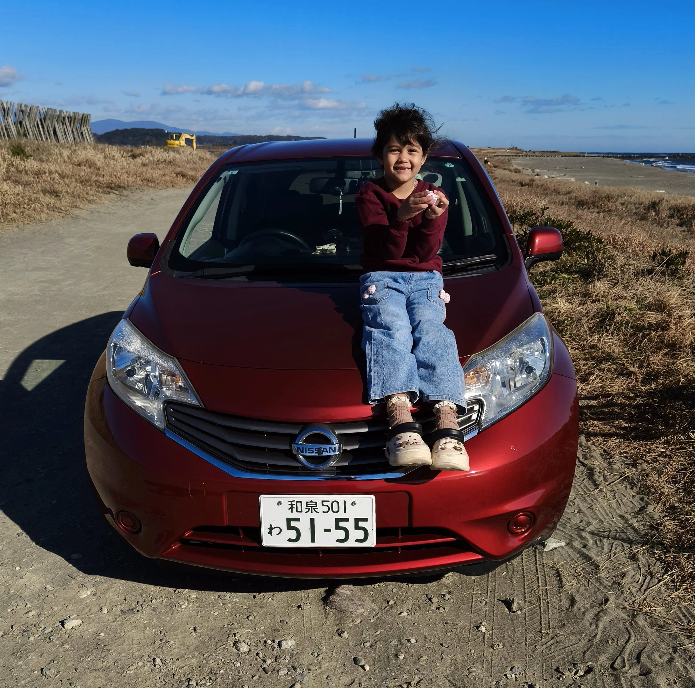 Shimotonda Sadowaracho Birding Ponds Miyazaki Kyushu Japan (139).jpg