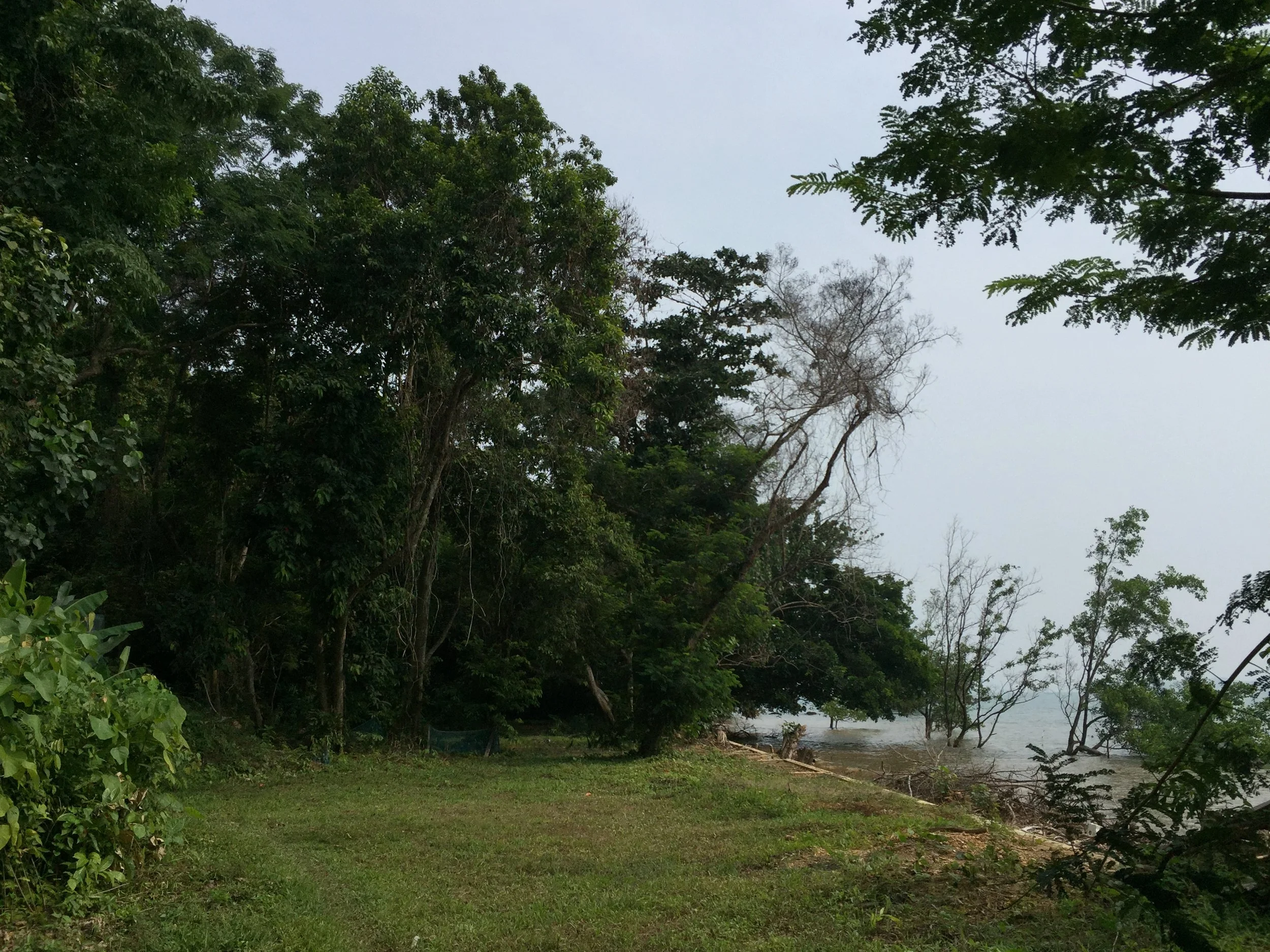 2015 Koh Lanta Garden & Nature (172).JPG