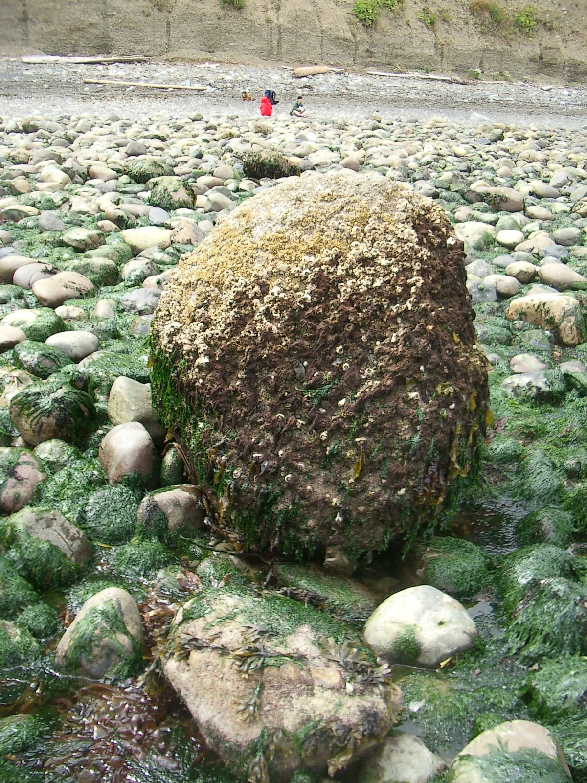 2003-7-31 FAMILY REUNION IN WASHINGTON AND CANADA (150).JPG