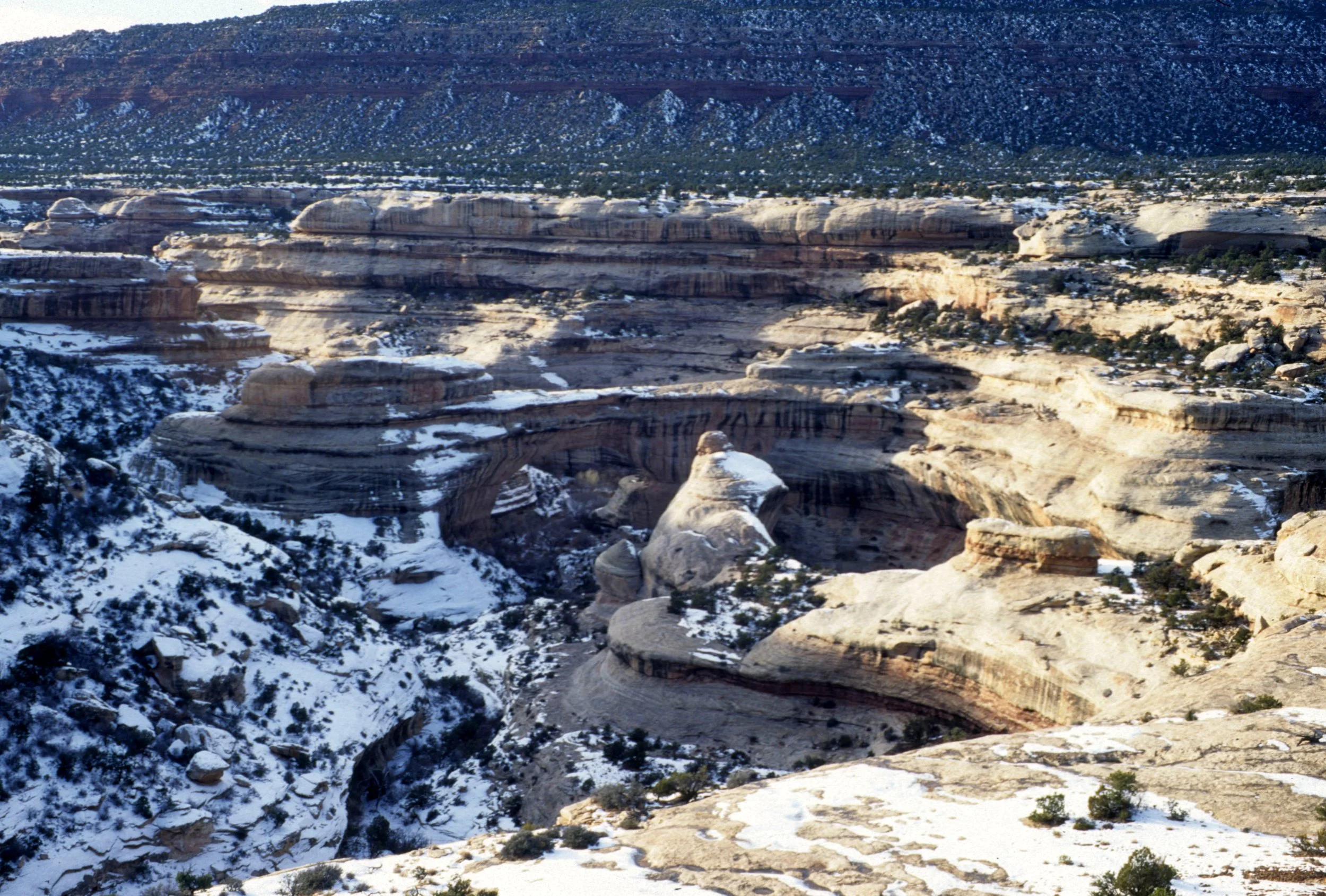 UTAH - NATURAL BRIDGES NM G.jpg