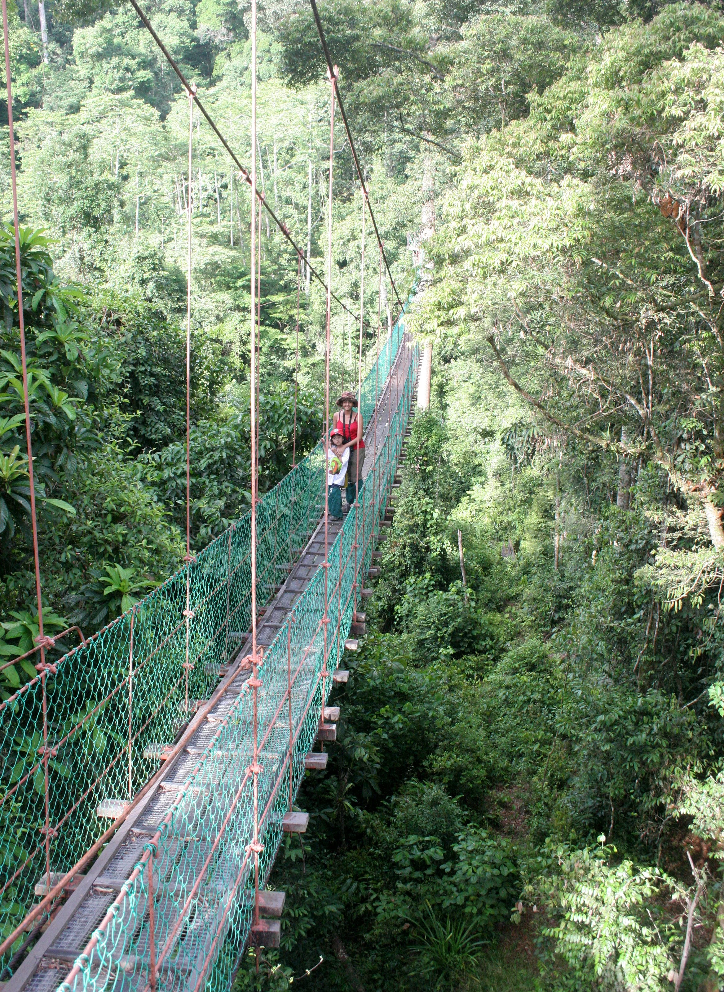 DANUM VALLEY BORNEO - CANOPY WALKWAY -  BRL (4).JPG