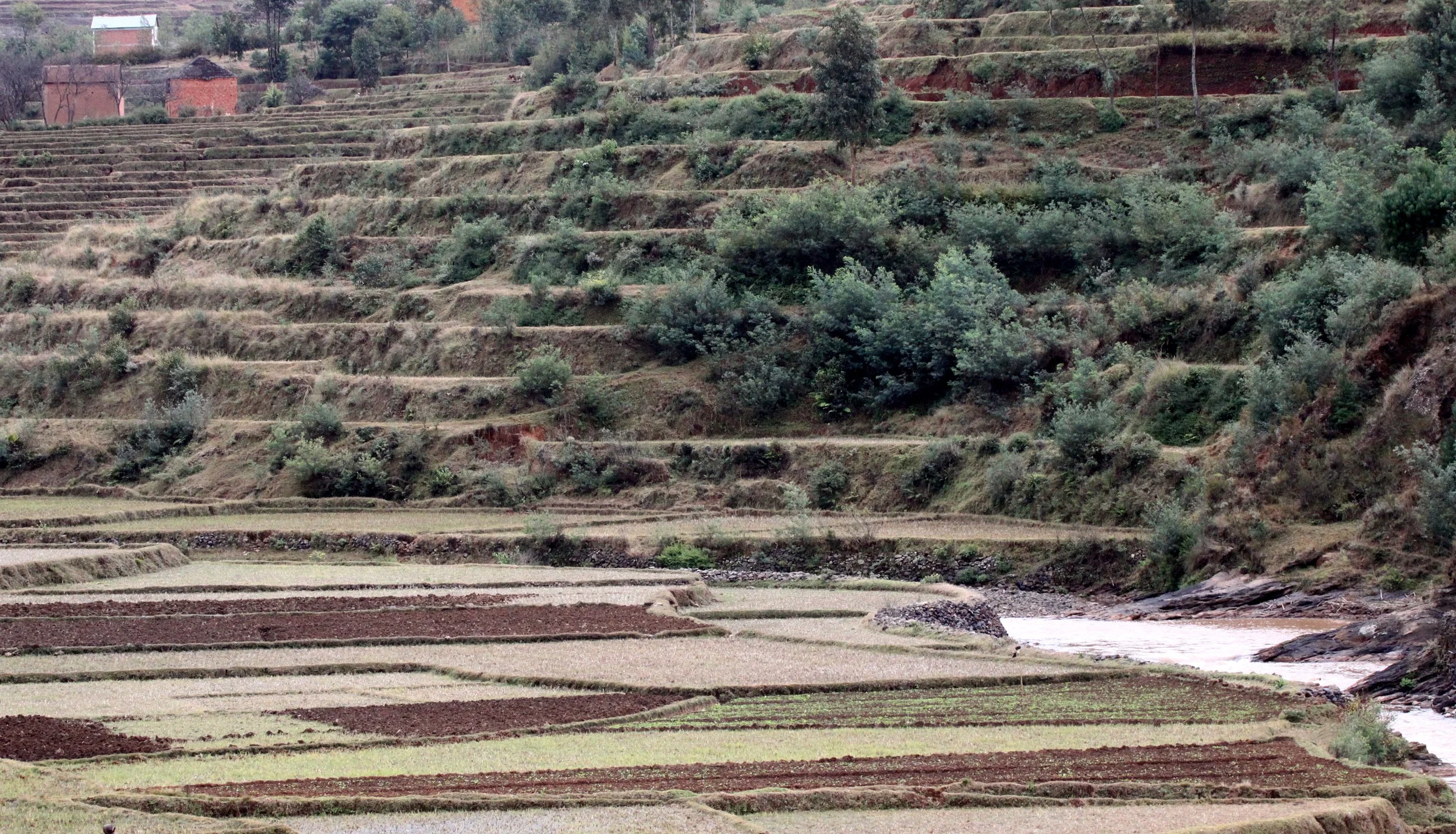 CENTRAL HIGHLANDS - ROAD TO RANOMAFANA (21).JPG