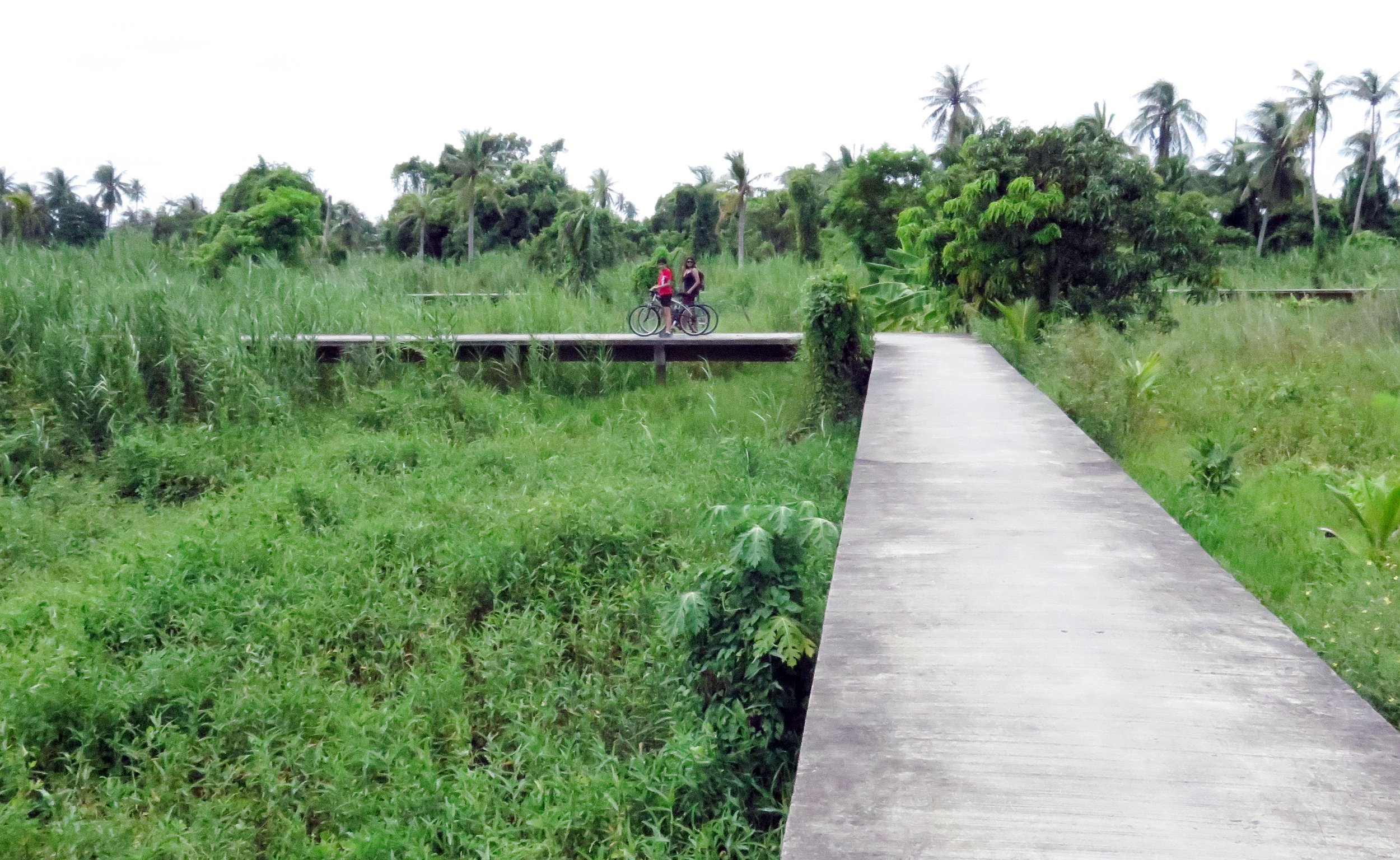 2014 Koh Kret Nonthaburi Bike Ride (32).JPG