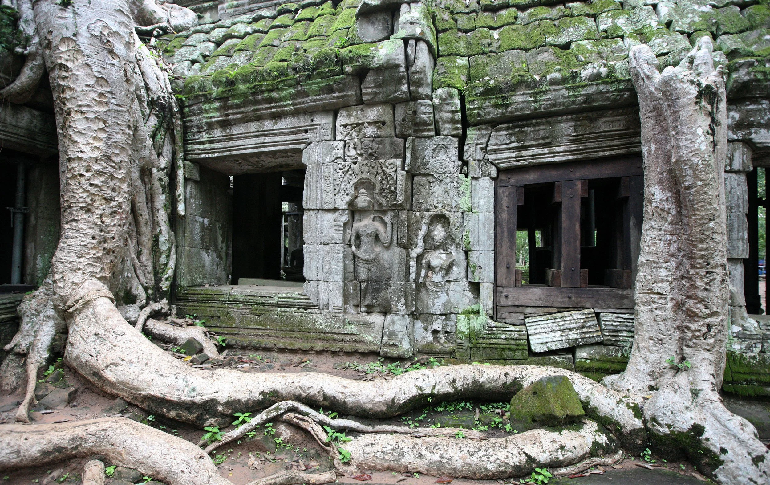 TA PROHM TEMPLE CAMBODIA - JULY 2010 (79).JPG