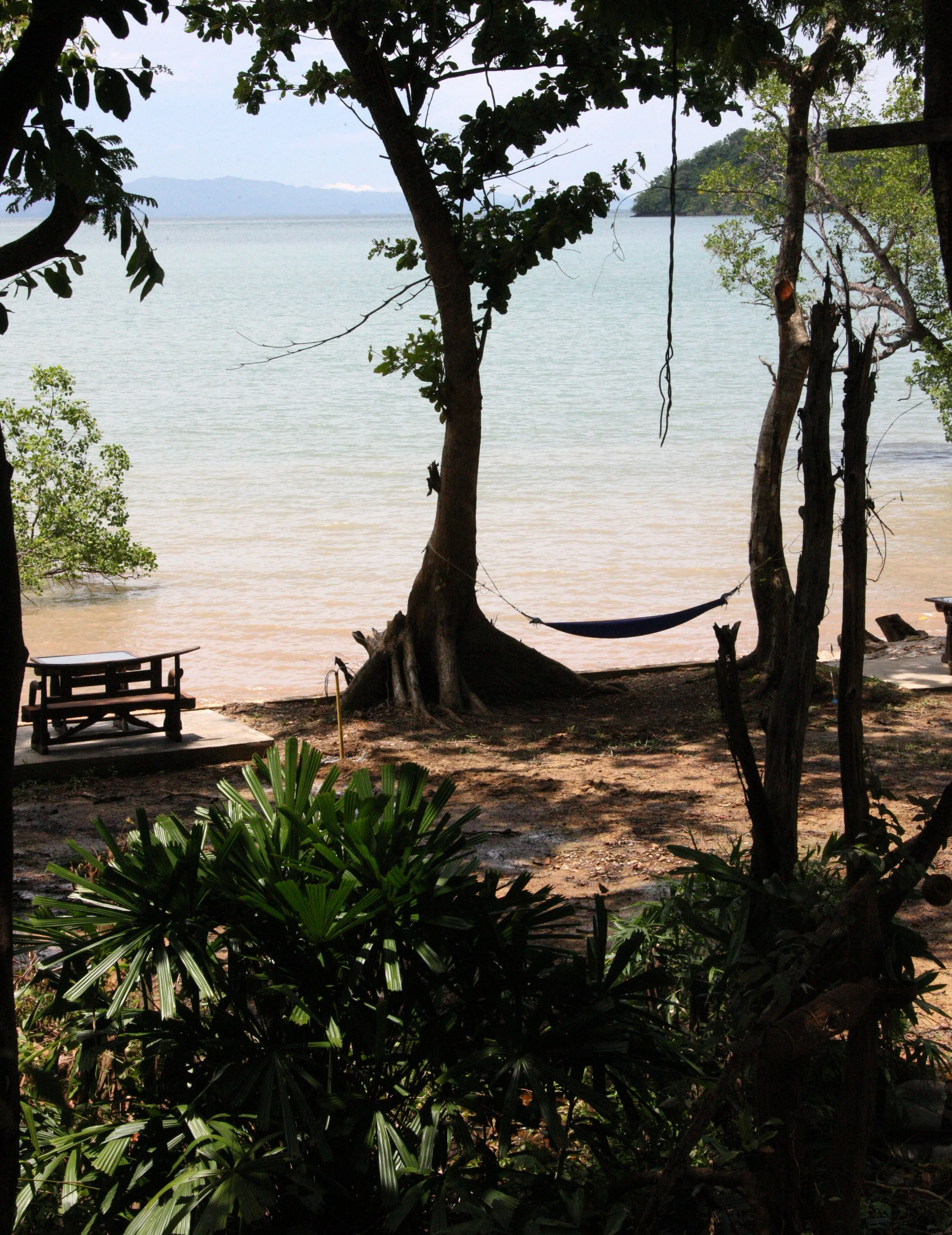 2016 Koh Lanta TheOtherSideVillas - Colugo (19).JPG