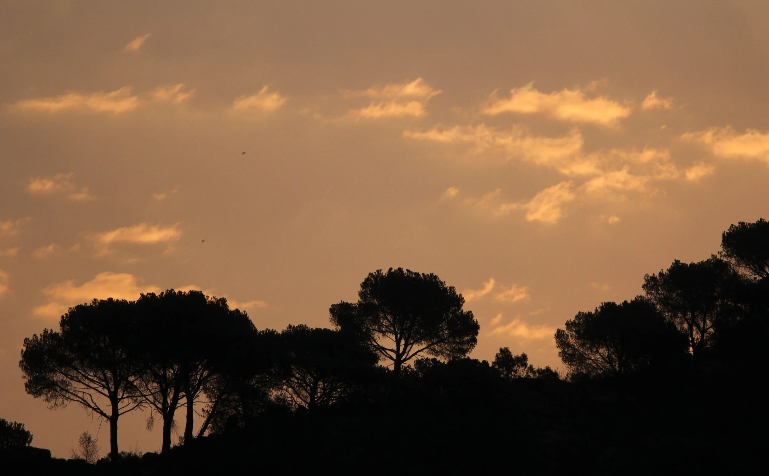 SIERRA DE ANDUJAR SPAIN (13).JPG