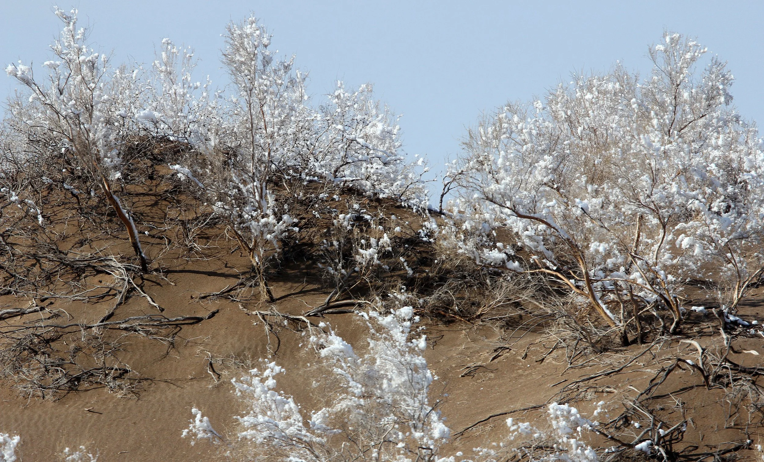 KARAMORI NATIONAL NATURE RESERVE - XINJIANG CHINA (52).JPG