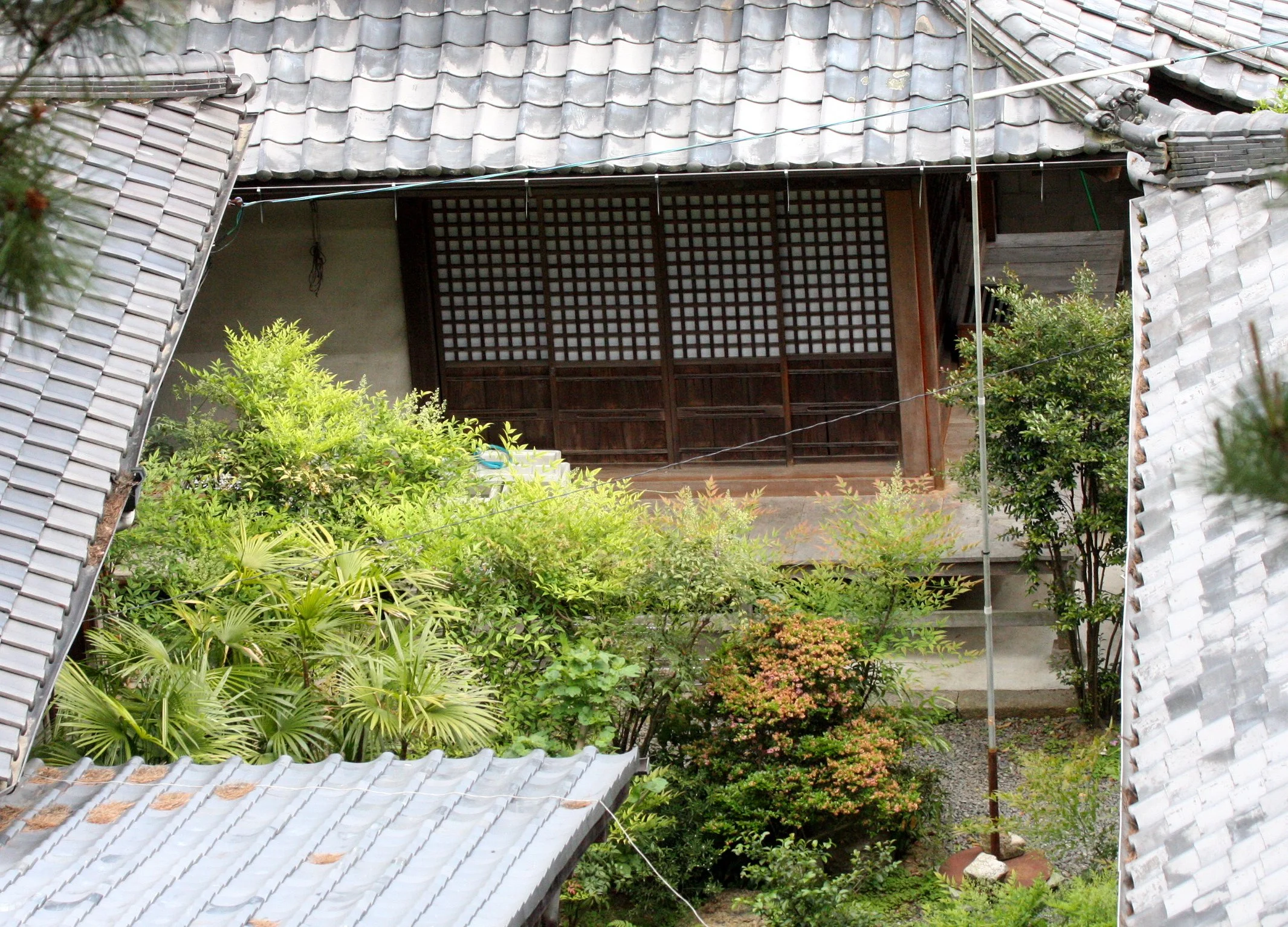 MIYAJIMA - MAY 2009 - SCENES AND LANDSCAPES (13).JPG