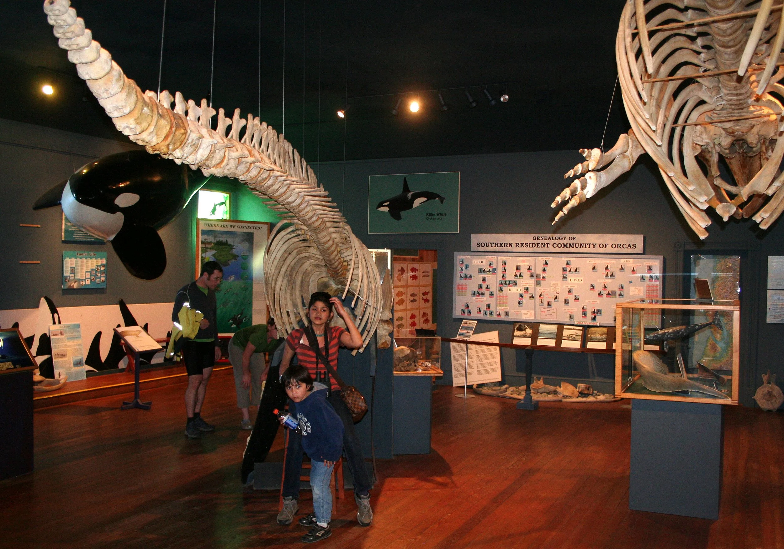 2008-5-26 SAN JUANS WHALE MUSUEM (2).JPG