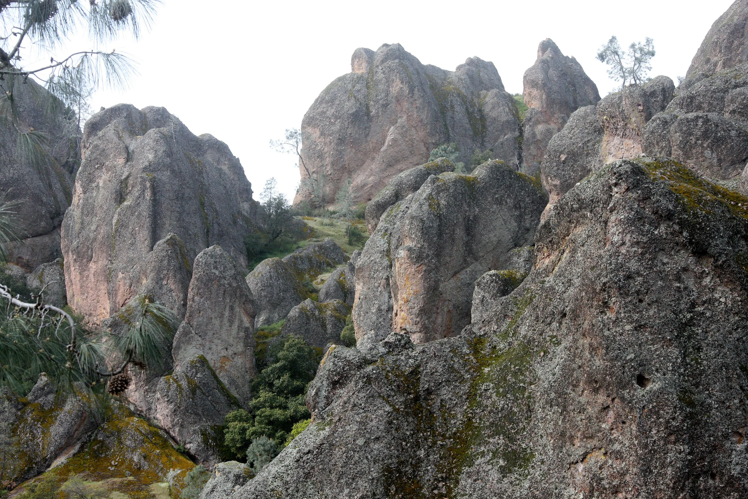 PINNACLES NATIONAL MONUMENT CALIFORNIA - VIEWS OF THE REGION (31).JPG