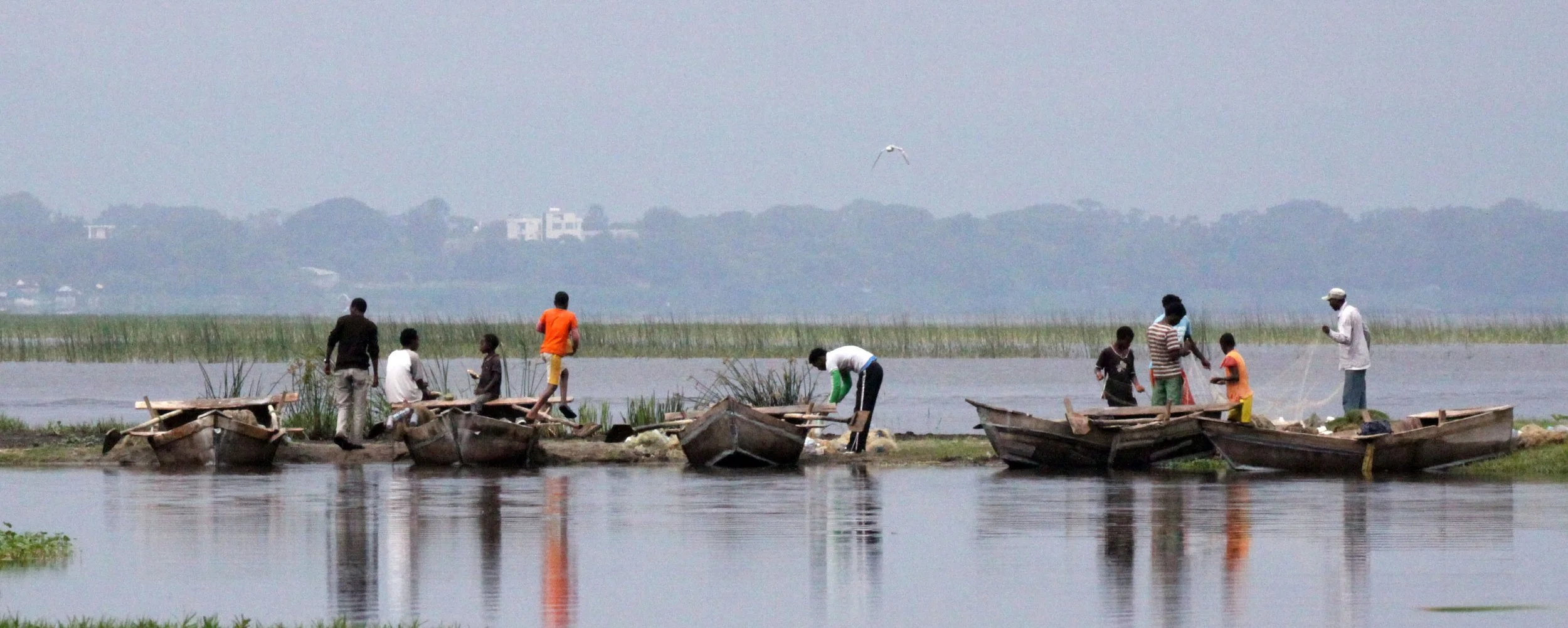 LAKE AWASSA ETHIOPIA (62).JPG