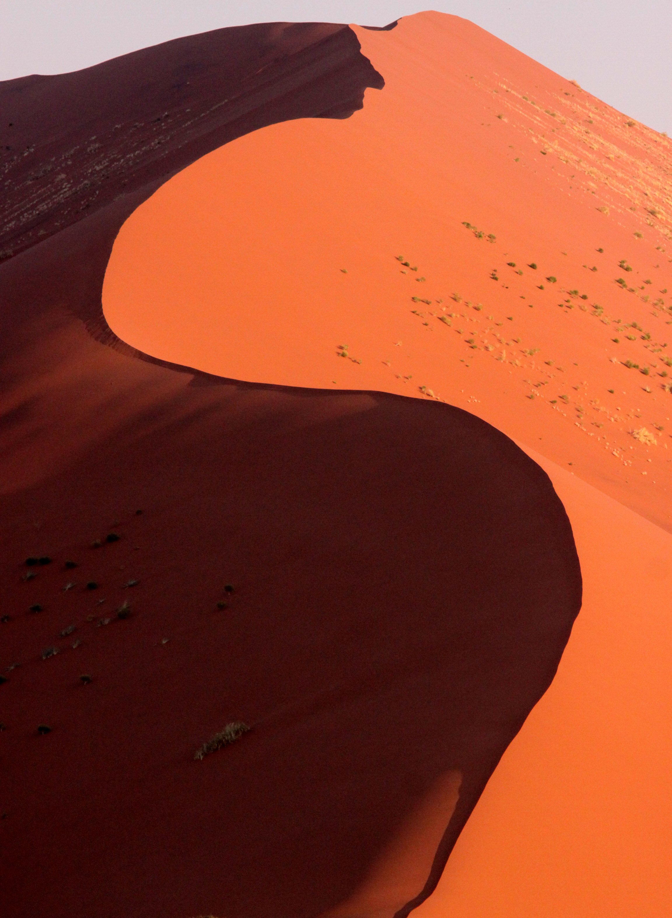 SOSSUSVLEI, NAMIB NAUKLUFT NATIONAL PARK, NAMIBIA (28).JPG