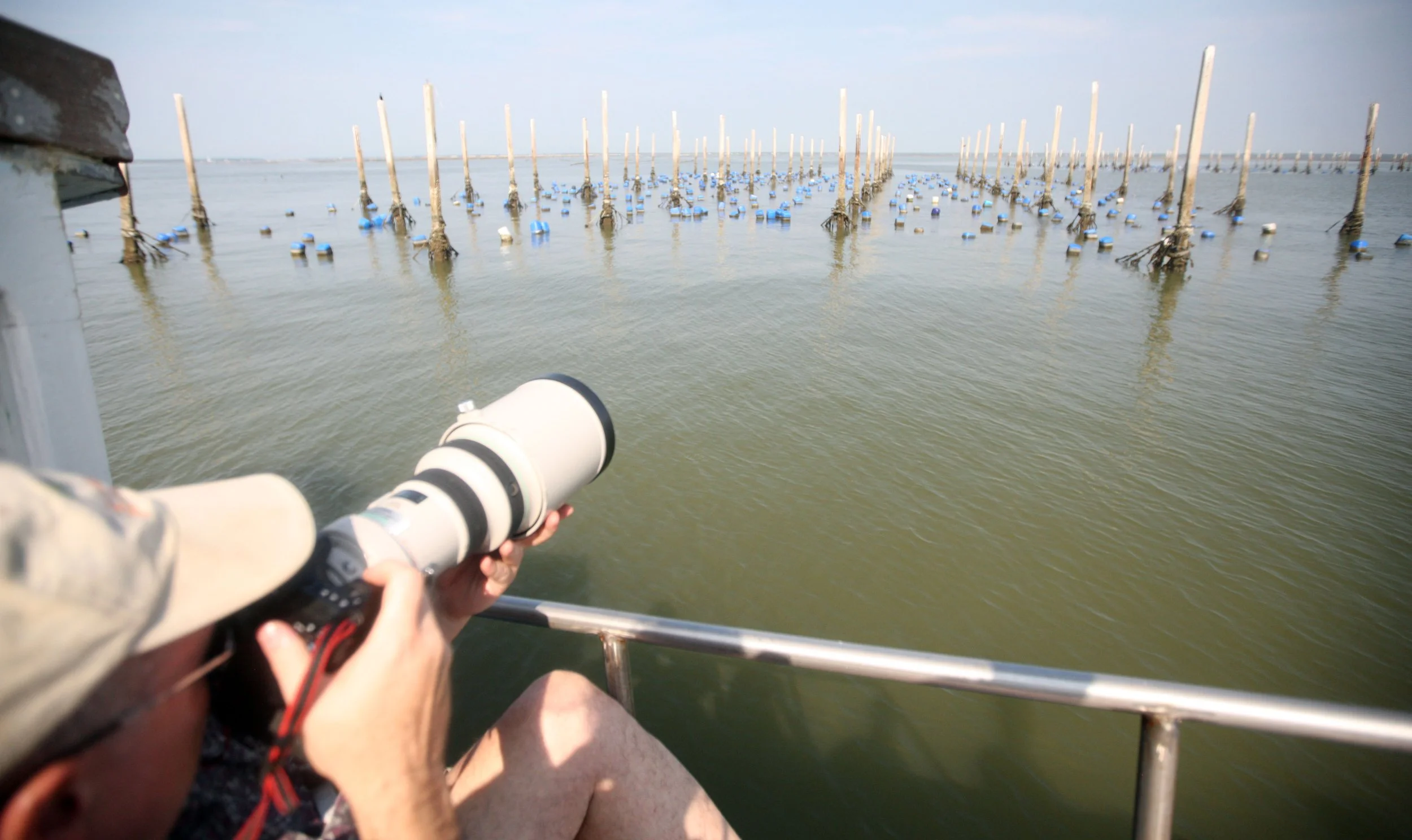 2014 Amphawa Trip to See Whales from Baan Taboon (70).JPG