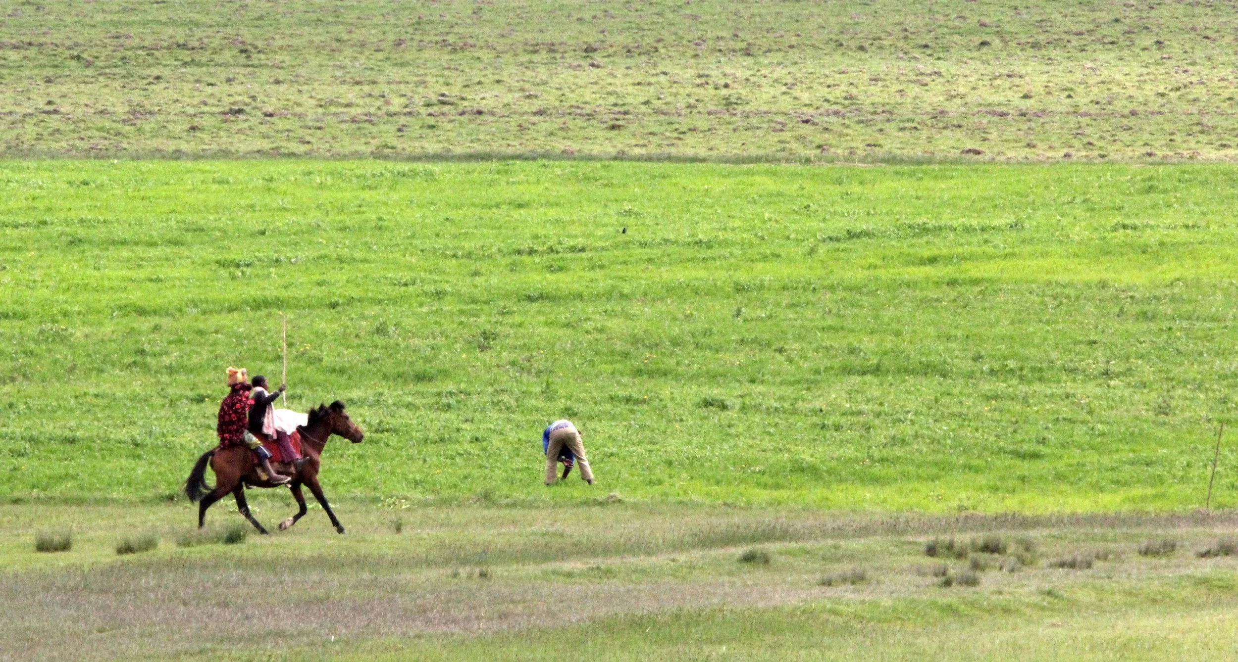 BALE MOUNTAINS NATIONAL PARK ETHIOPIA (87).JPG