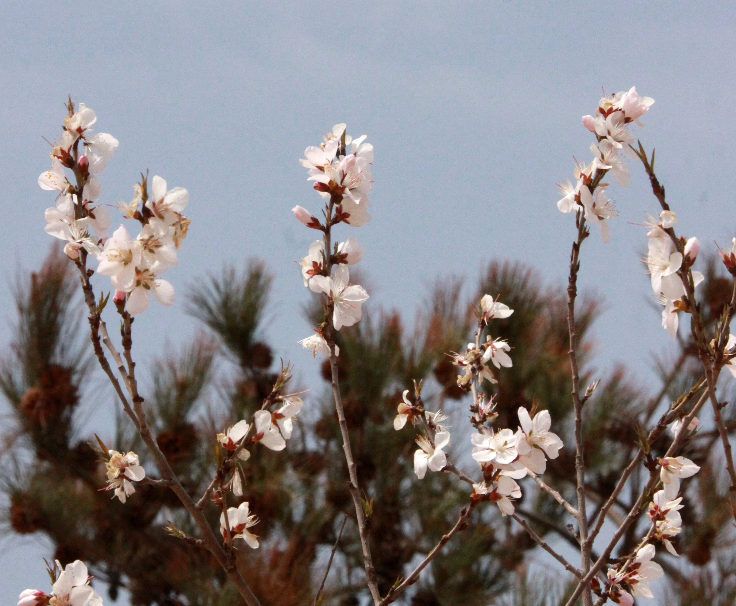KULUN QI & SURROUNDING VILLAGES - INNER MONGOLIA CHINA (57).JPG