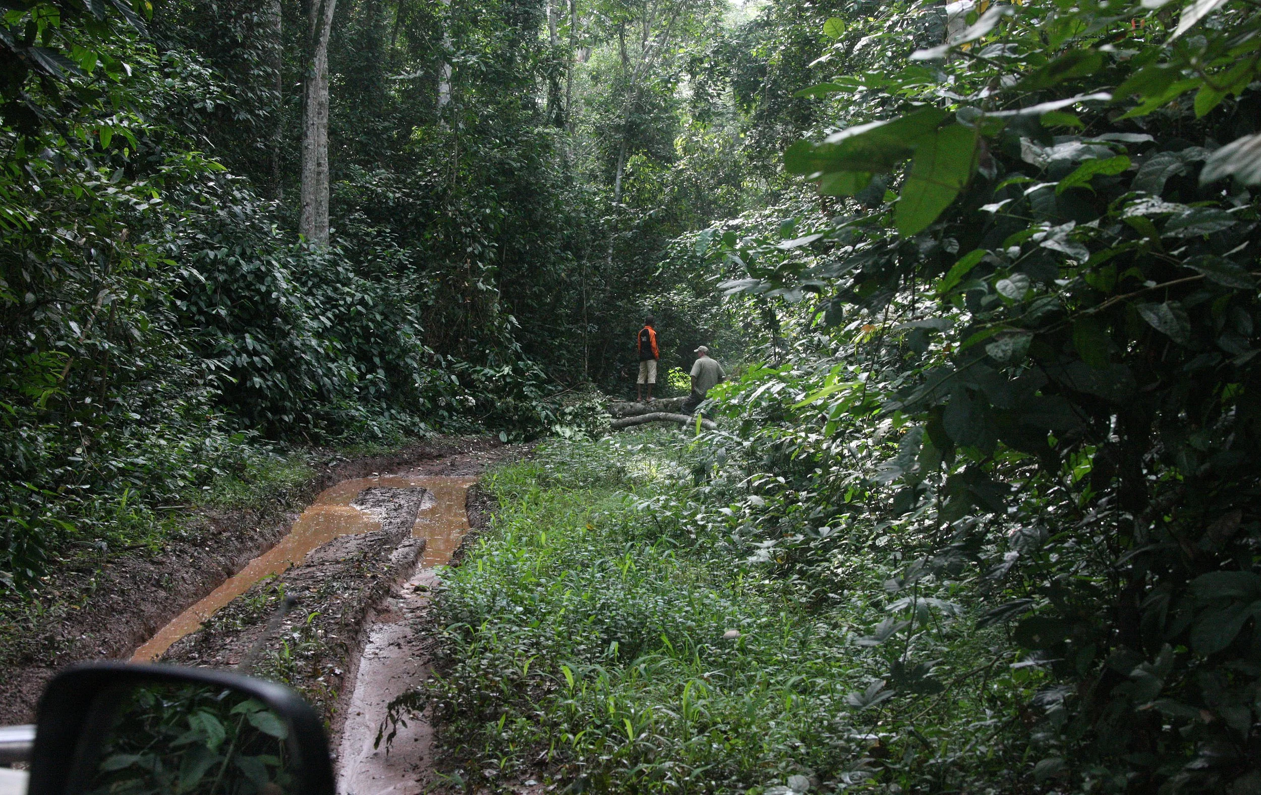 DZANGA NDOKI NATIONAL PARK CENTRAL AFRICAN REPUBLIC (34).JPG