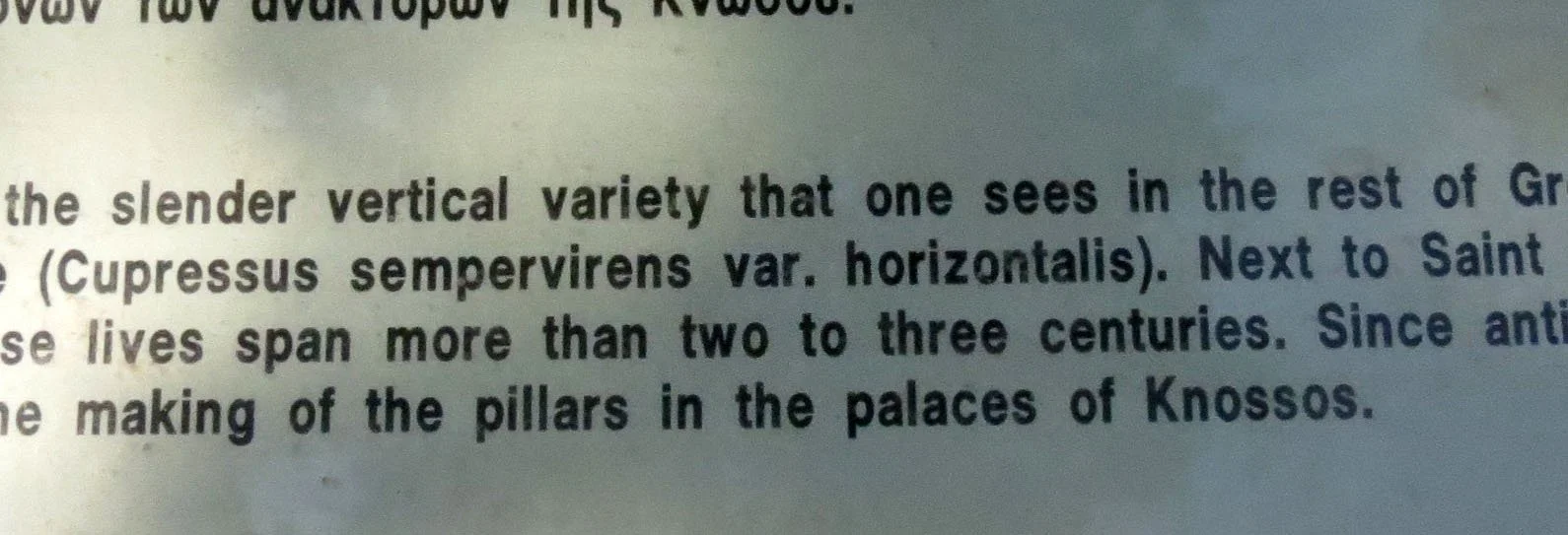 SAMARIA GORGE NATIONAL PARK CRETE, GREECE (11).JPG