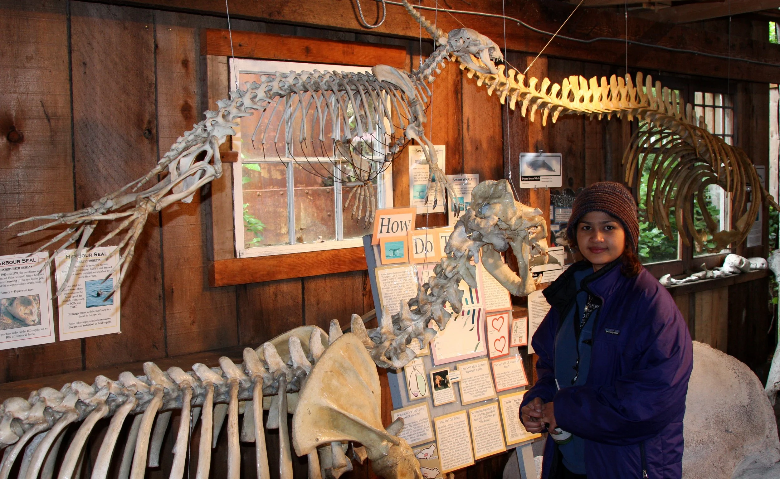 TELEGRAPH COVE BC (2).JPG