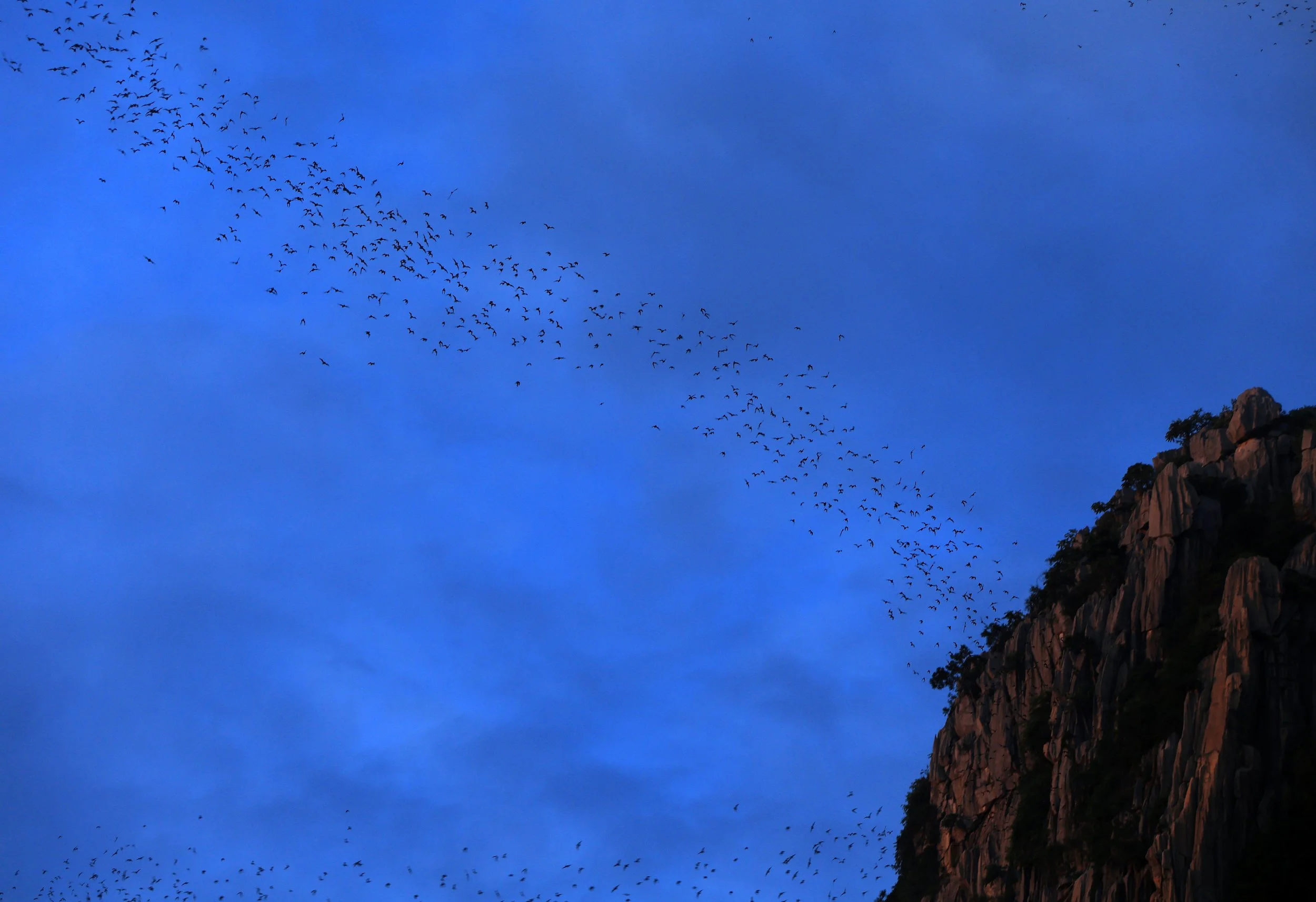 Khao Nor Khao Kaew Bat Viewing Nakhon Sawan (52).jpg