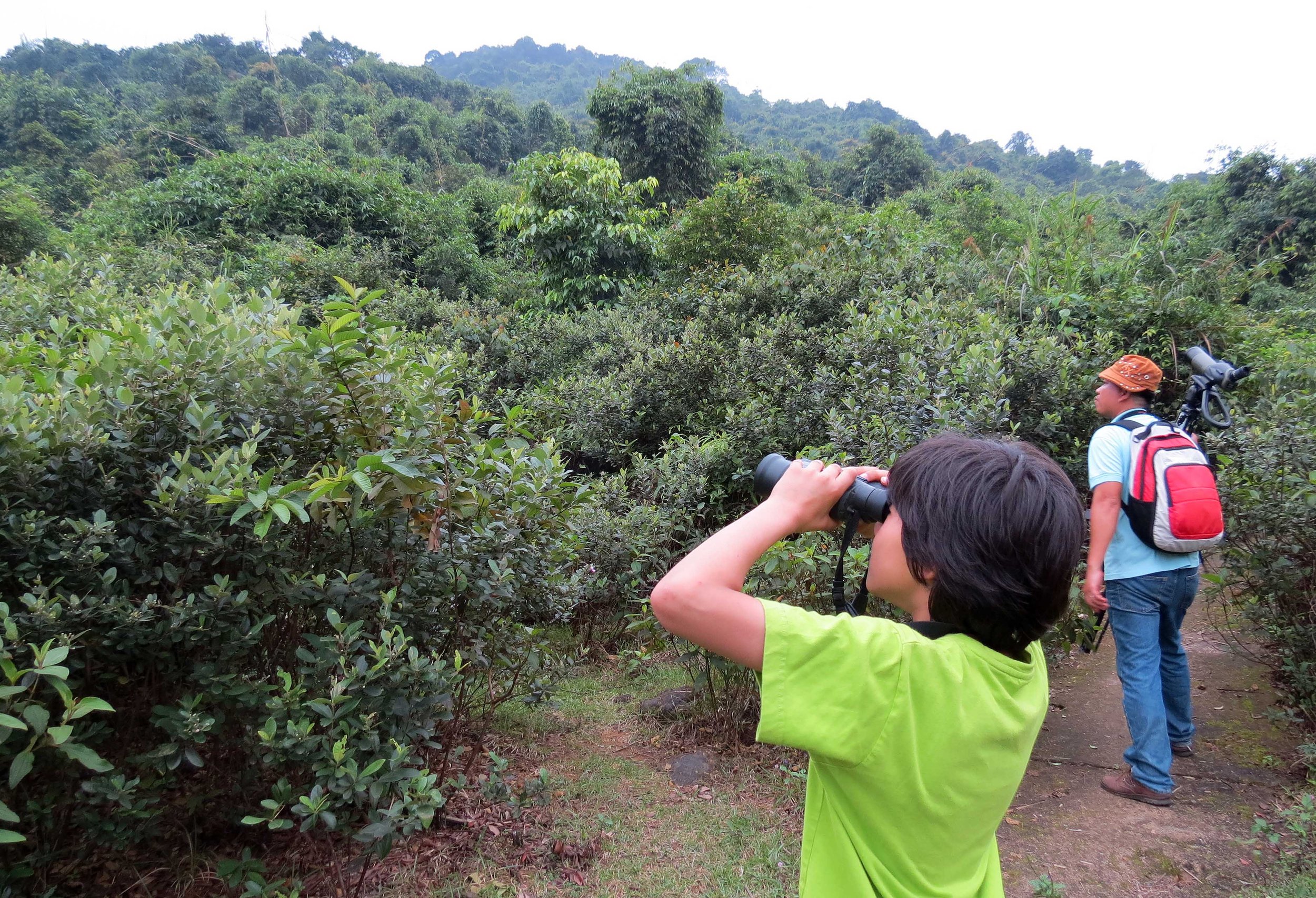 BACH MA NATIONAL PARK AND VICINITY VIET NAM (4).JPG