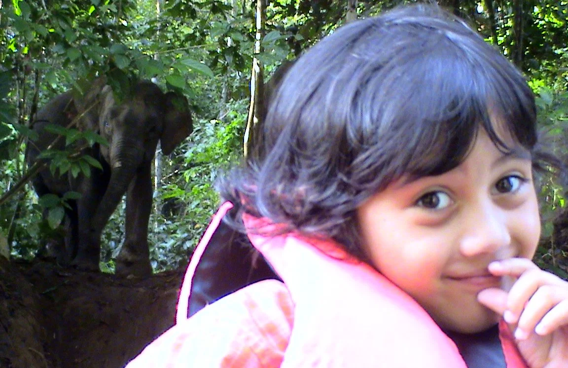 BORNEO - US WITH THE ELEPHANTS.JPG