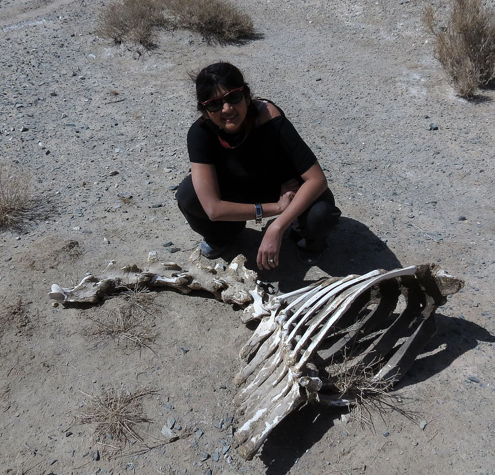 LOP NUR WILD BACTRIAN CAMEL RESERVE - XINJIANG CHINA (63).JPG