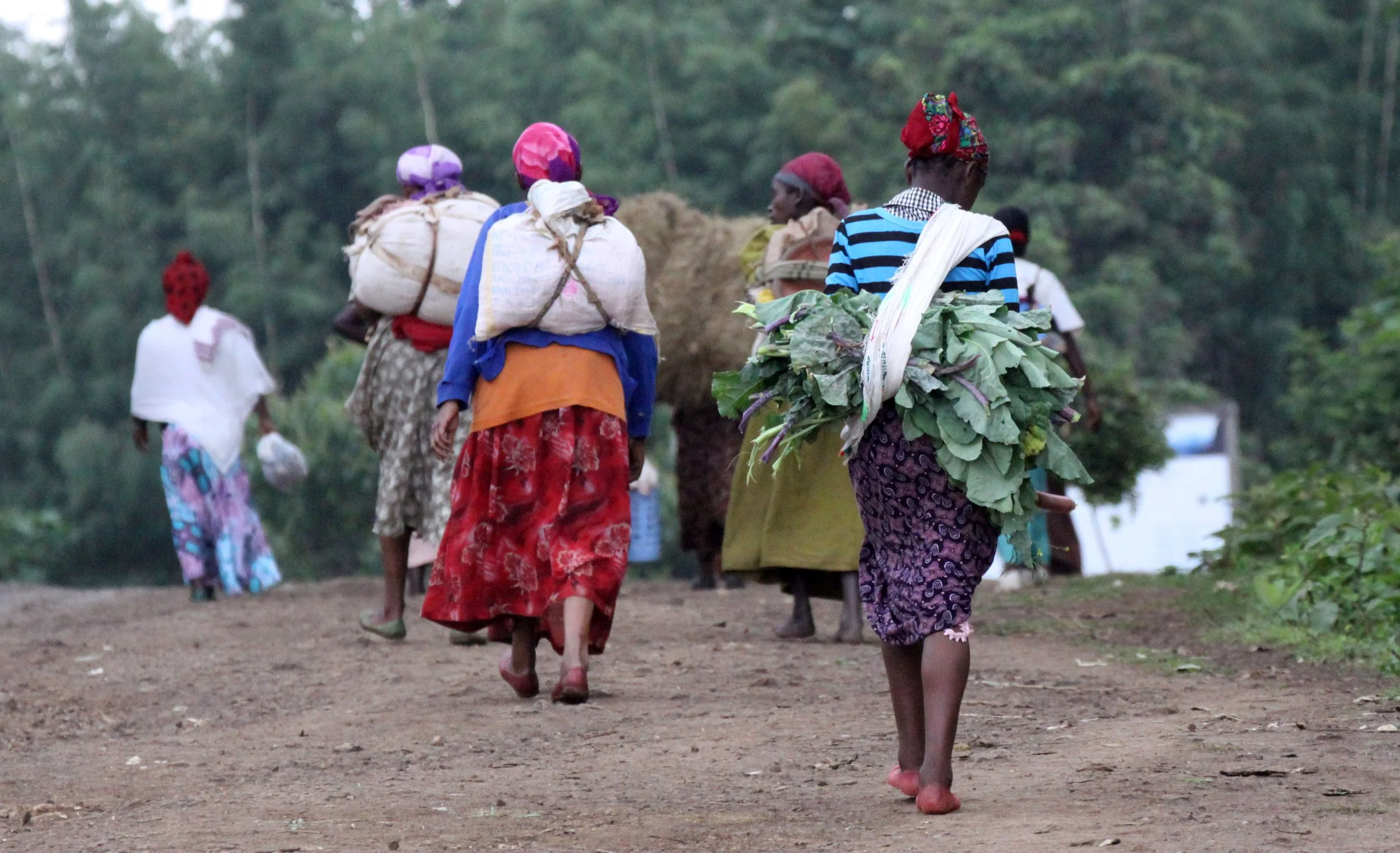 CHENCHA - DORZE VILLAGE - ETHIOPIA (126).JPG
