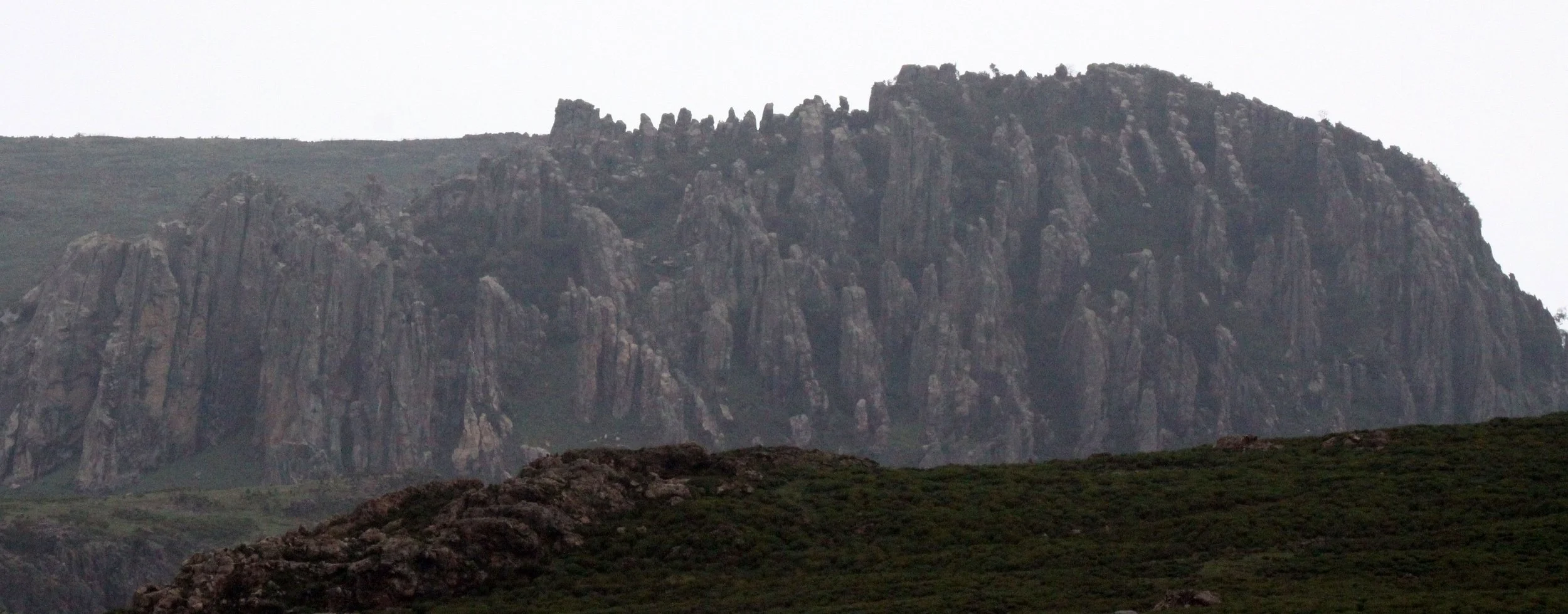 BALE MOUNTAINS NATIONAL PARK ETHIOPIA (62).JPG