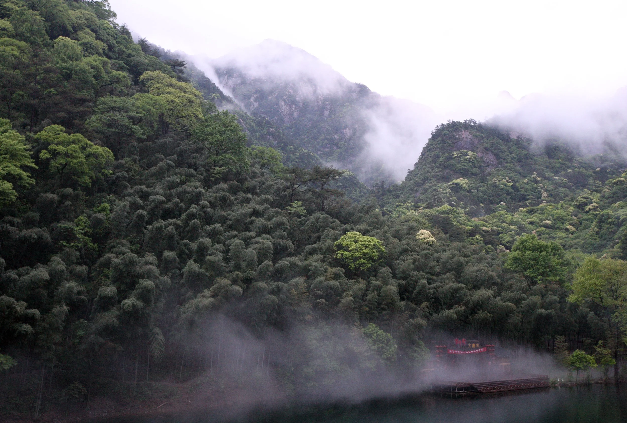 GUNIUJIANG NATURE RESERVE - ANHUI PROVINCE CHINA (25).JPG