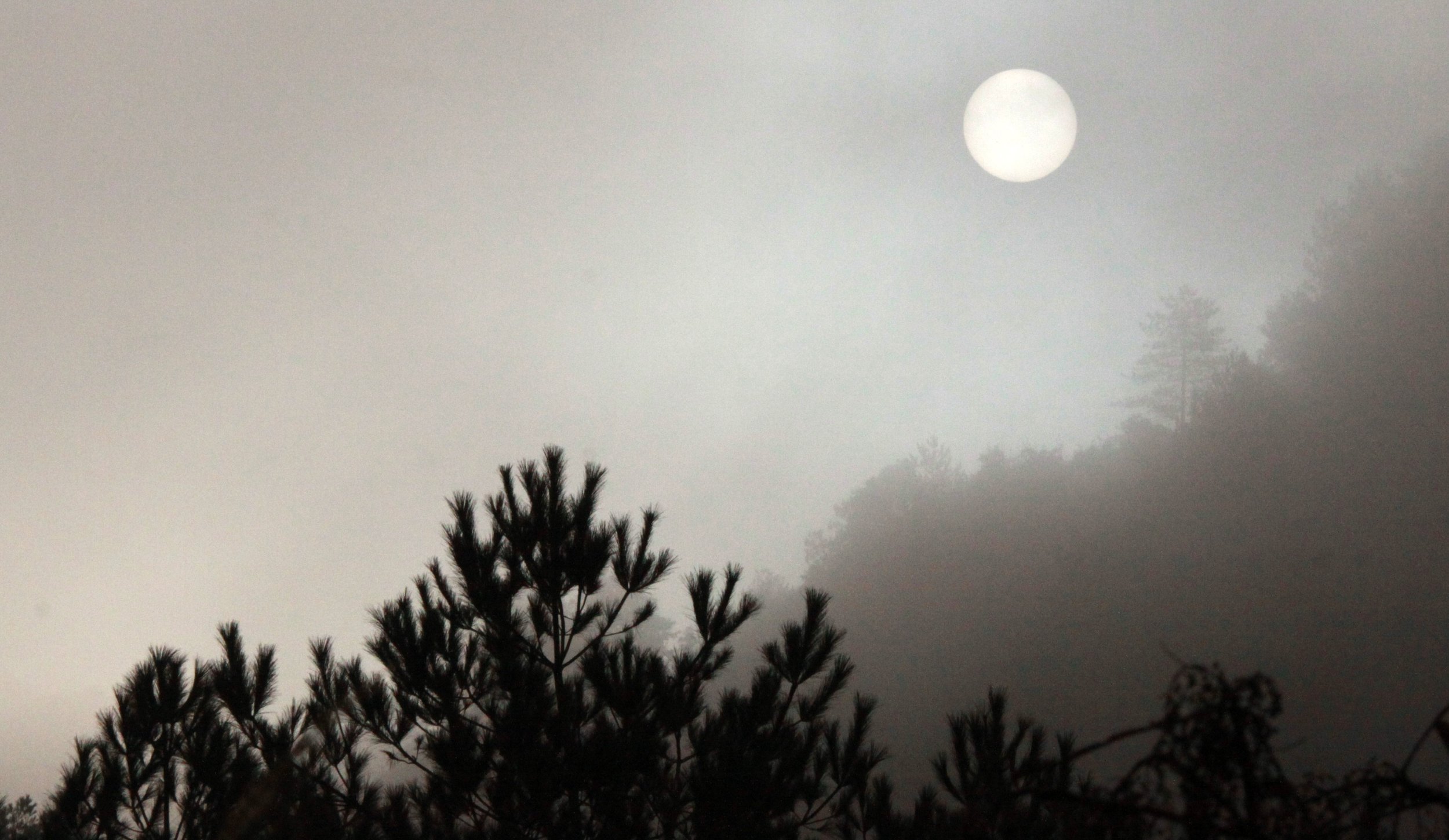 MEIHUASHAN - FUJIAN CHINA (69).JPG