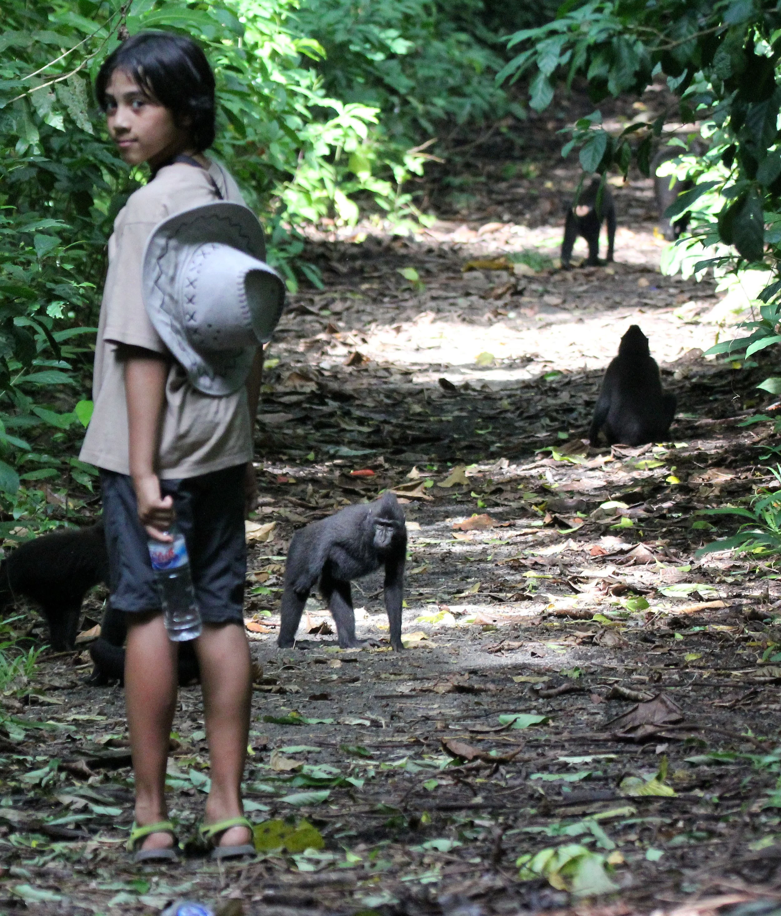 Sulawesi People & Places