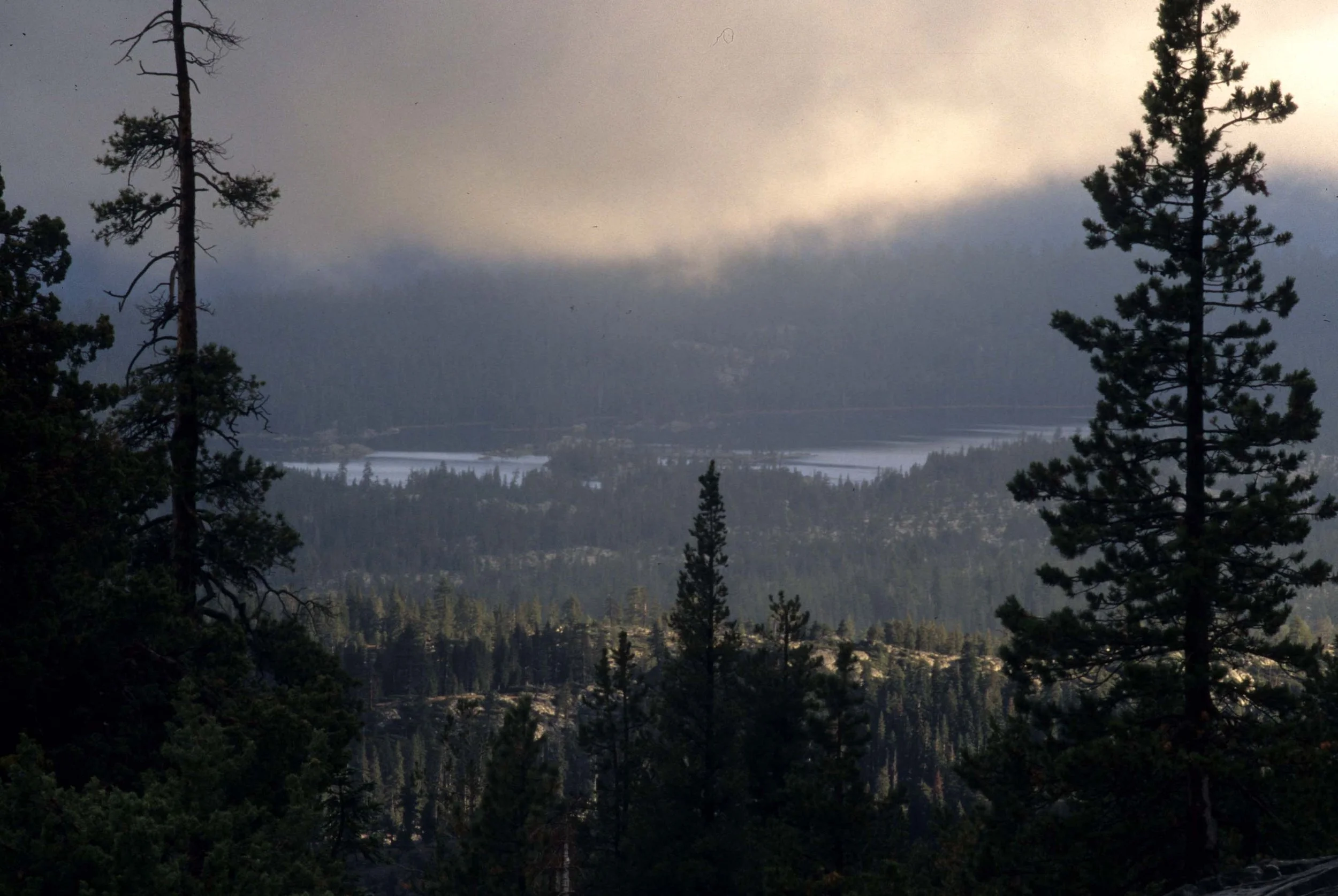 CALIFORNIA - SIERRA NEVADA MOUNTAINS (13).jpg