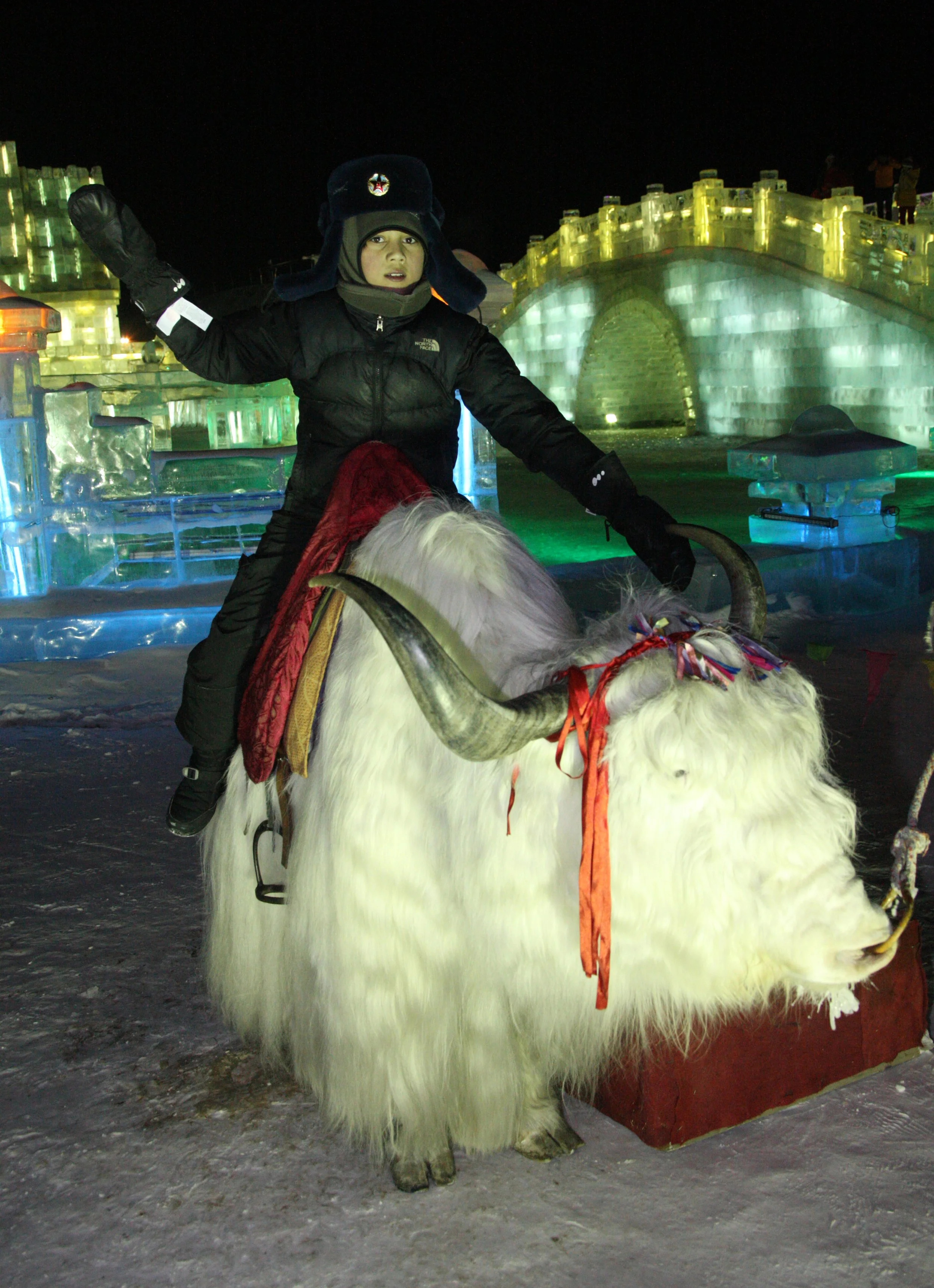 HARBIN ICE & SNOW FESTIVAL FEBRUARY 2012 (93).JPG
