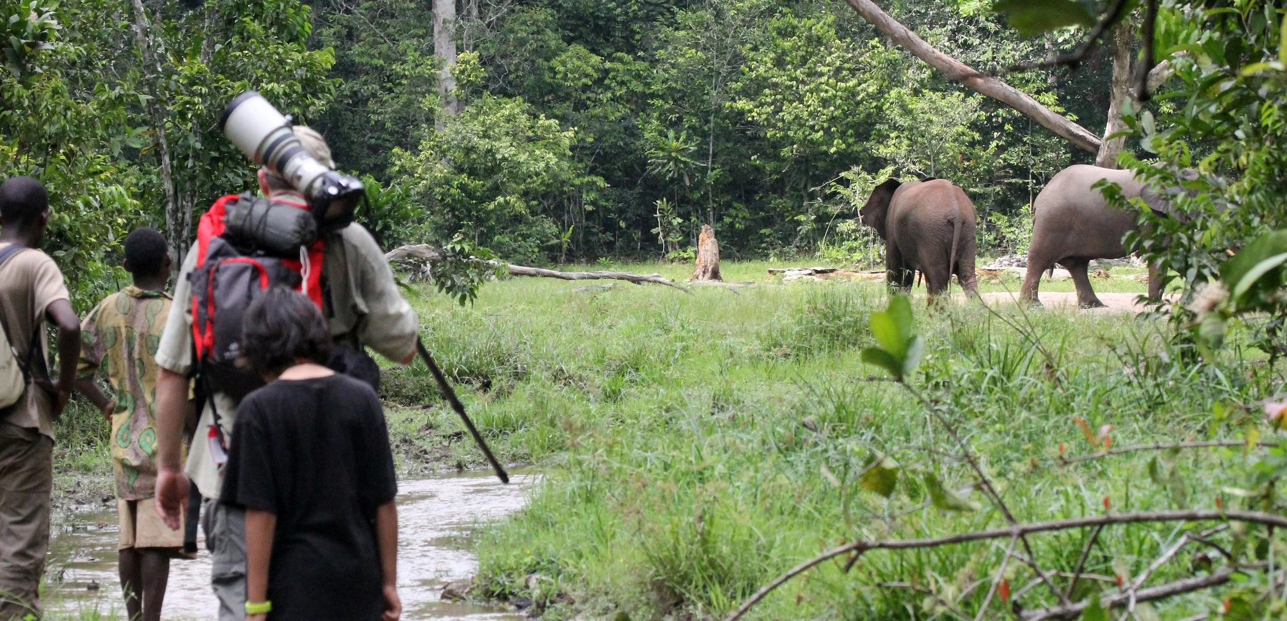 DZANGA NDOKI NATIONAL PARK CENTRAL AFRICAN REPUBLIC (17).JPG