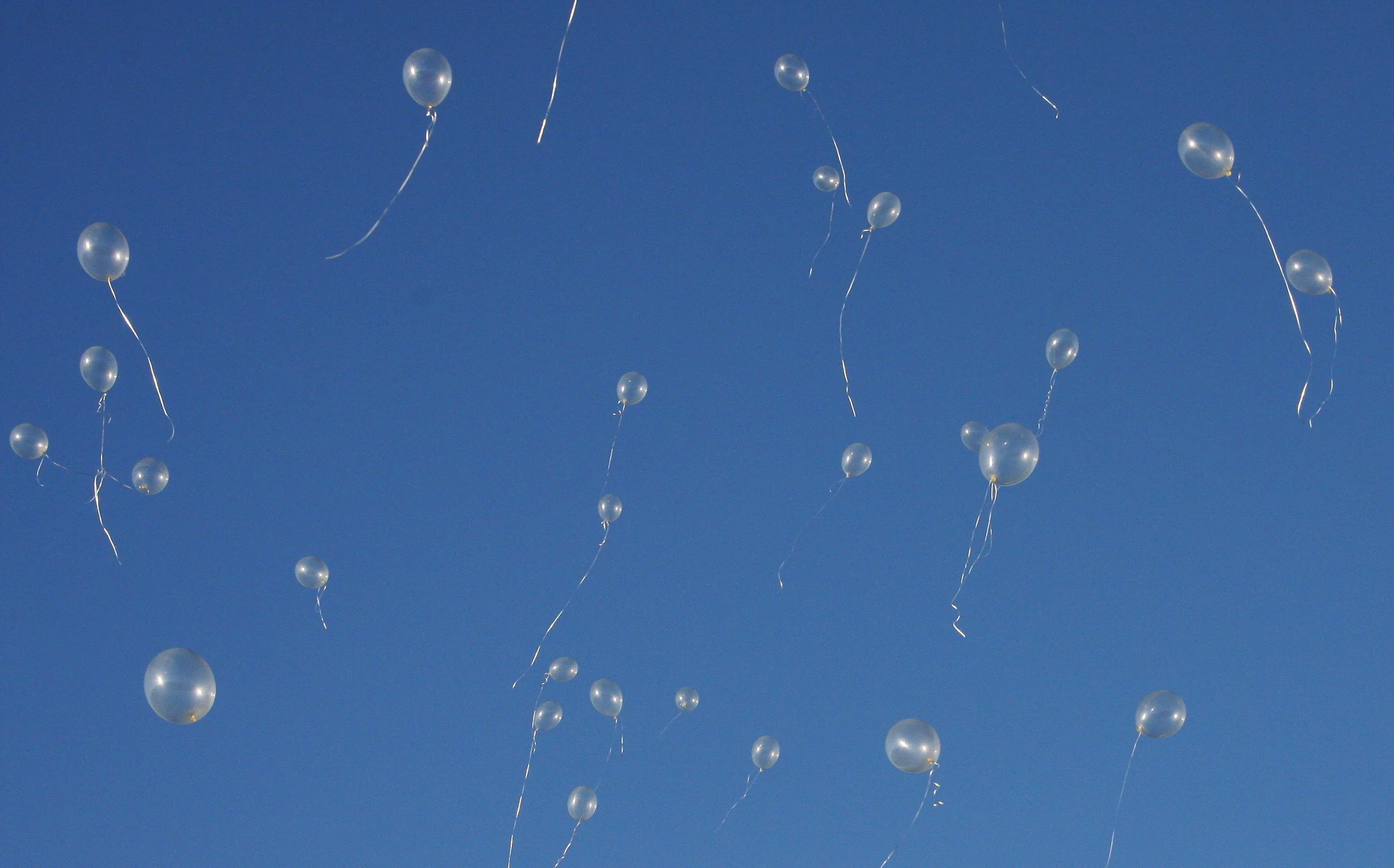 2008-6-21 ANDREW'S WEDDING - LEBANON OREGON (59).JPG