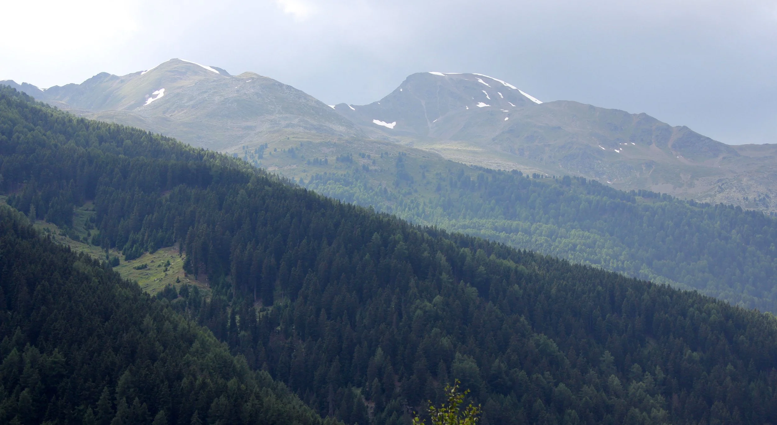 STELVIO NATIONAL PARK ITALY (82).JPG