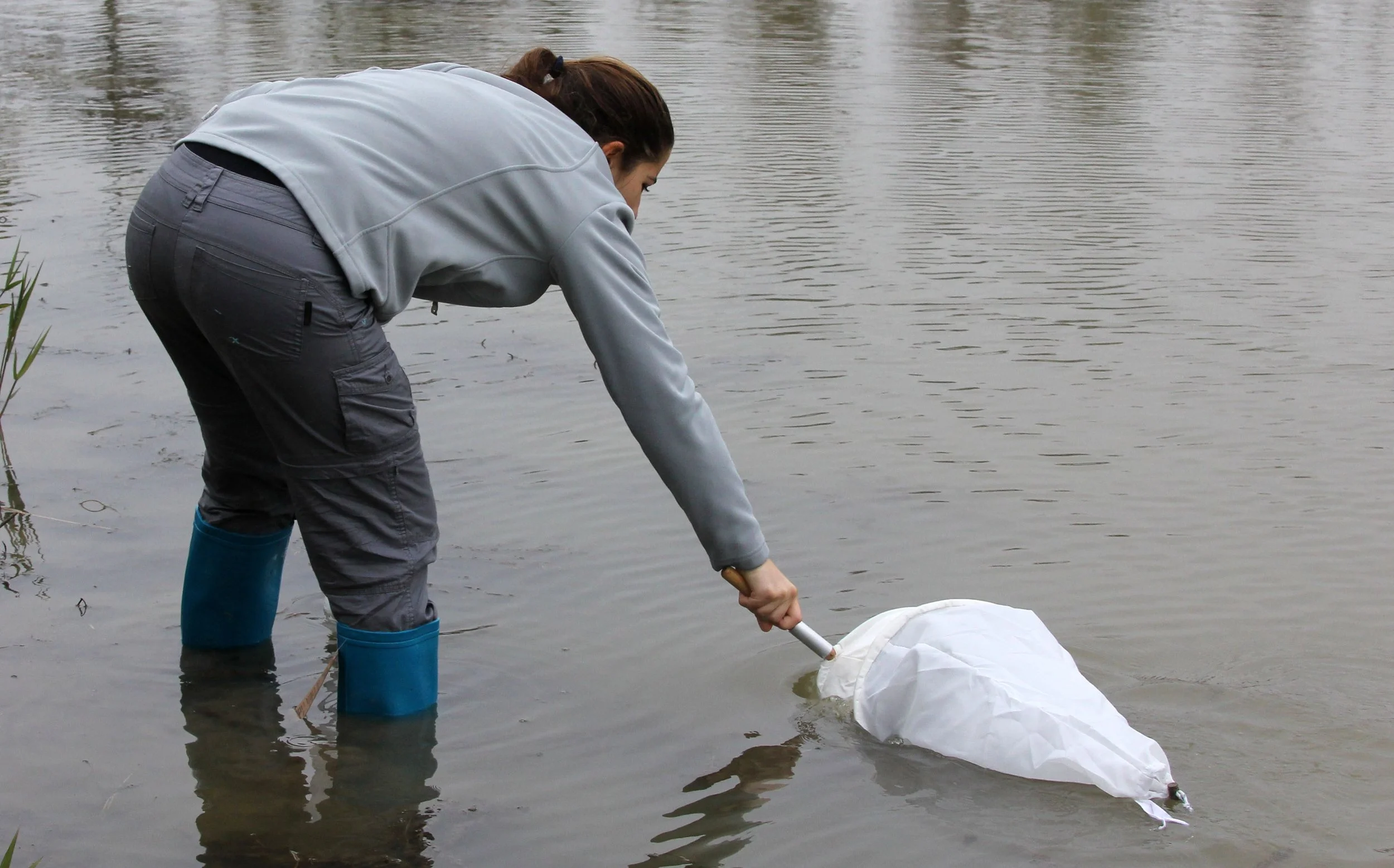 CHONGMING ISLAND DONGTAN WETLAND RESERVE CHINA - FIELD TRIP WITH IB AND APES 2012 11-16 (14).JPG