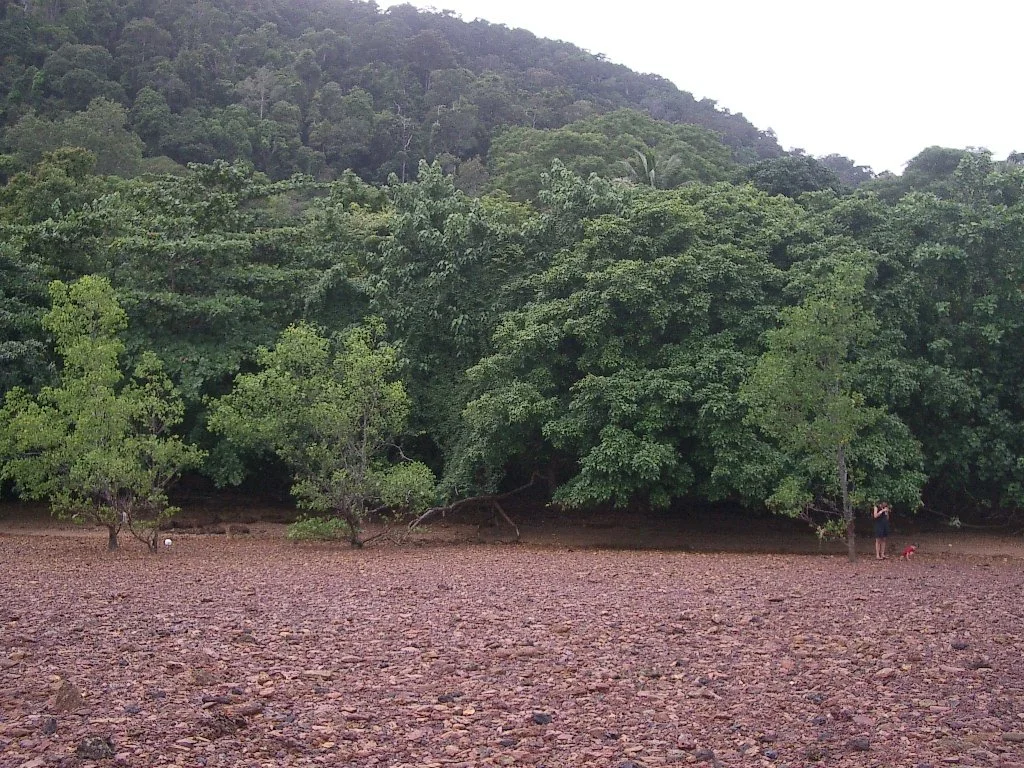 KOH LANTA - PROPERTY - 2004 (109).JPG