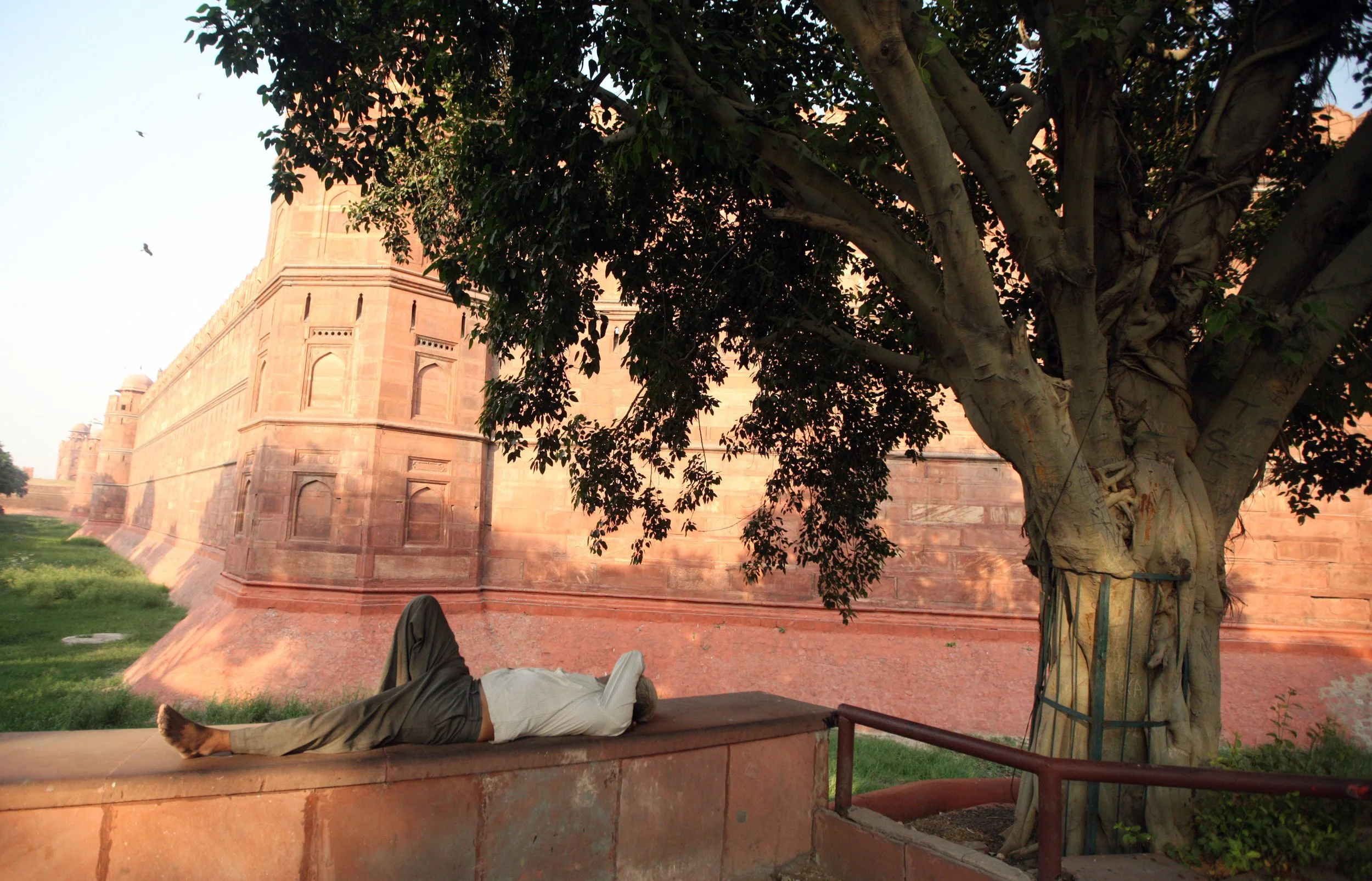 OLD DELHI INDIA - SNOW LEOPARD TRIP 2014 (27).JPG