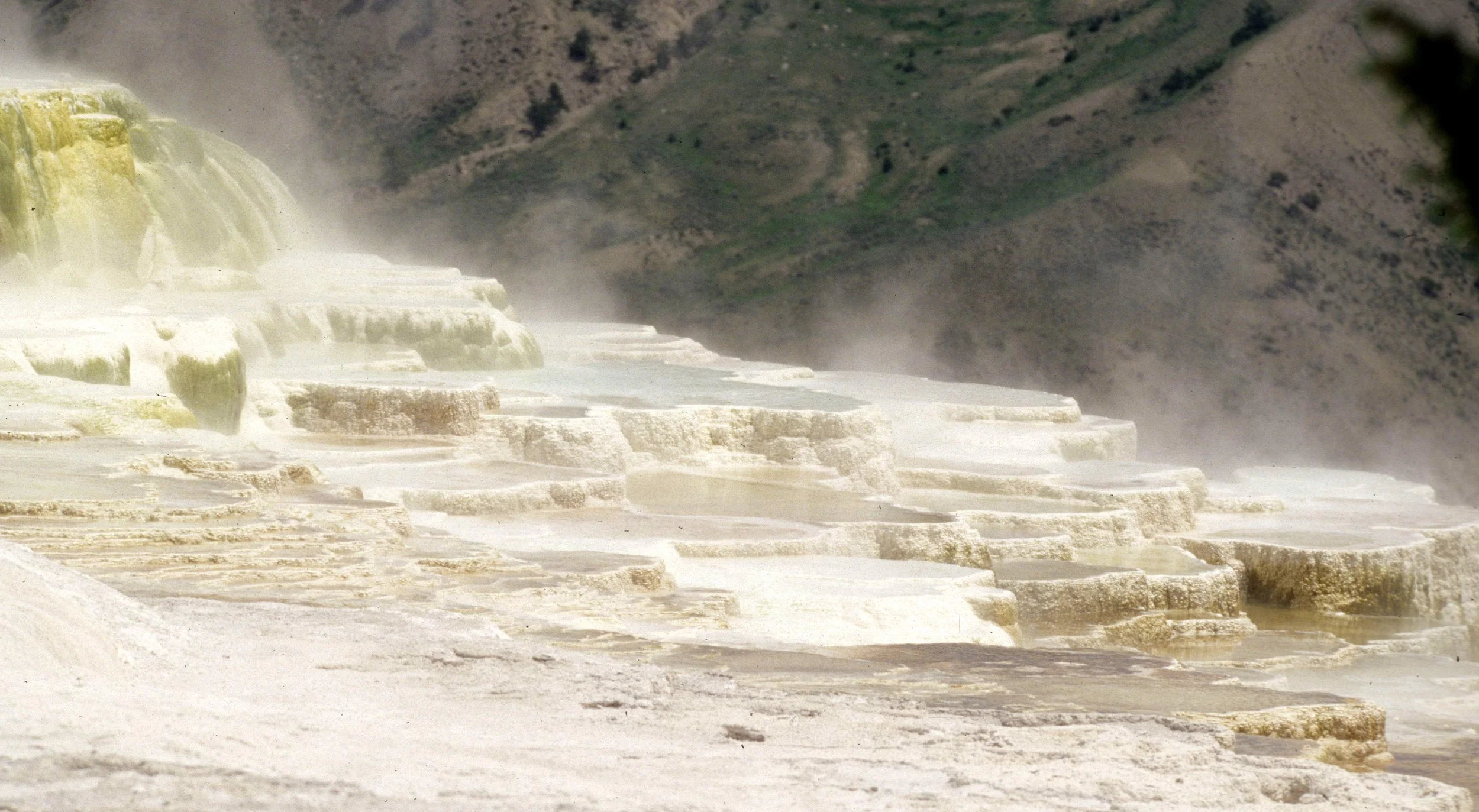YELLOWSTONE - MAMMOTH HOTSPRINGS G.jpg