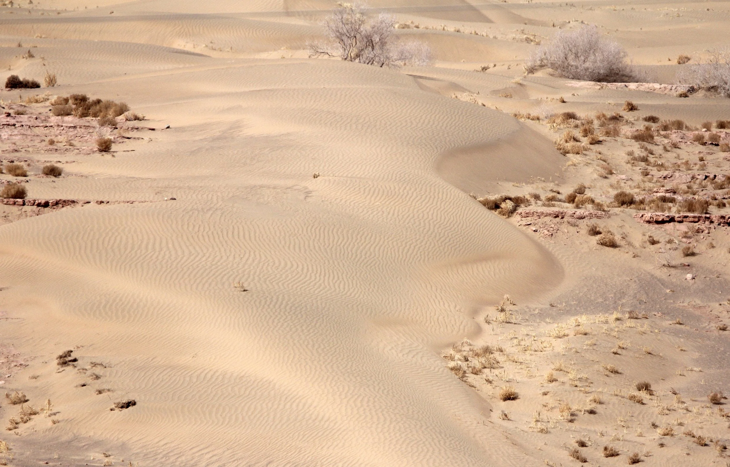 GANSU - DUNES SOUTH OF DUNHUANG - CHINA (34).JPG