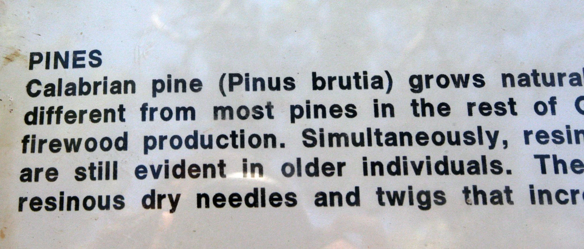 SAMARIA GORGE NATIONAL PARK CRETE (16).JPG